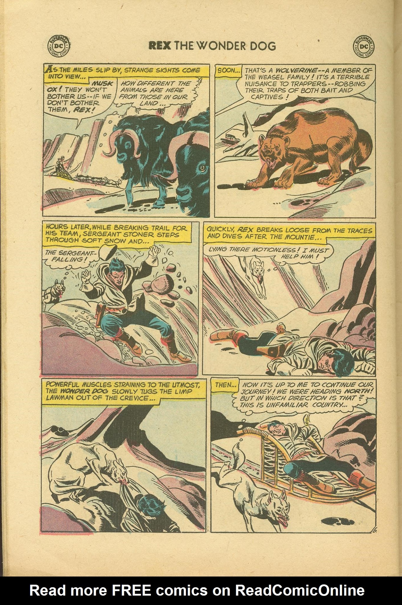 Read online The Adventures of Rex the Wonder Dog comic -  Issue #38 - 30