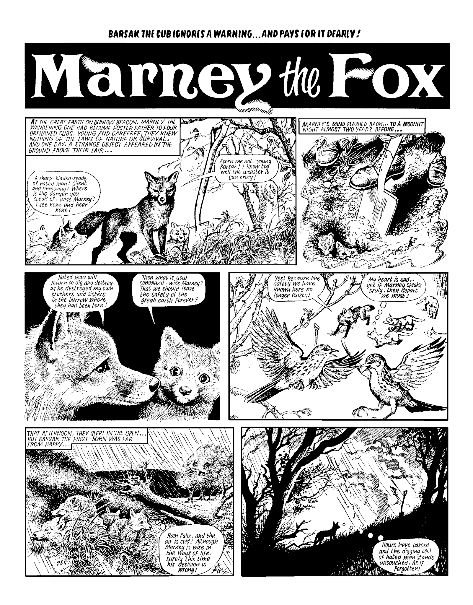 Read online Marney the Fox comic -  Issue # TPB (Part 2) - 84