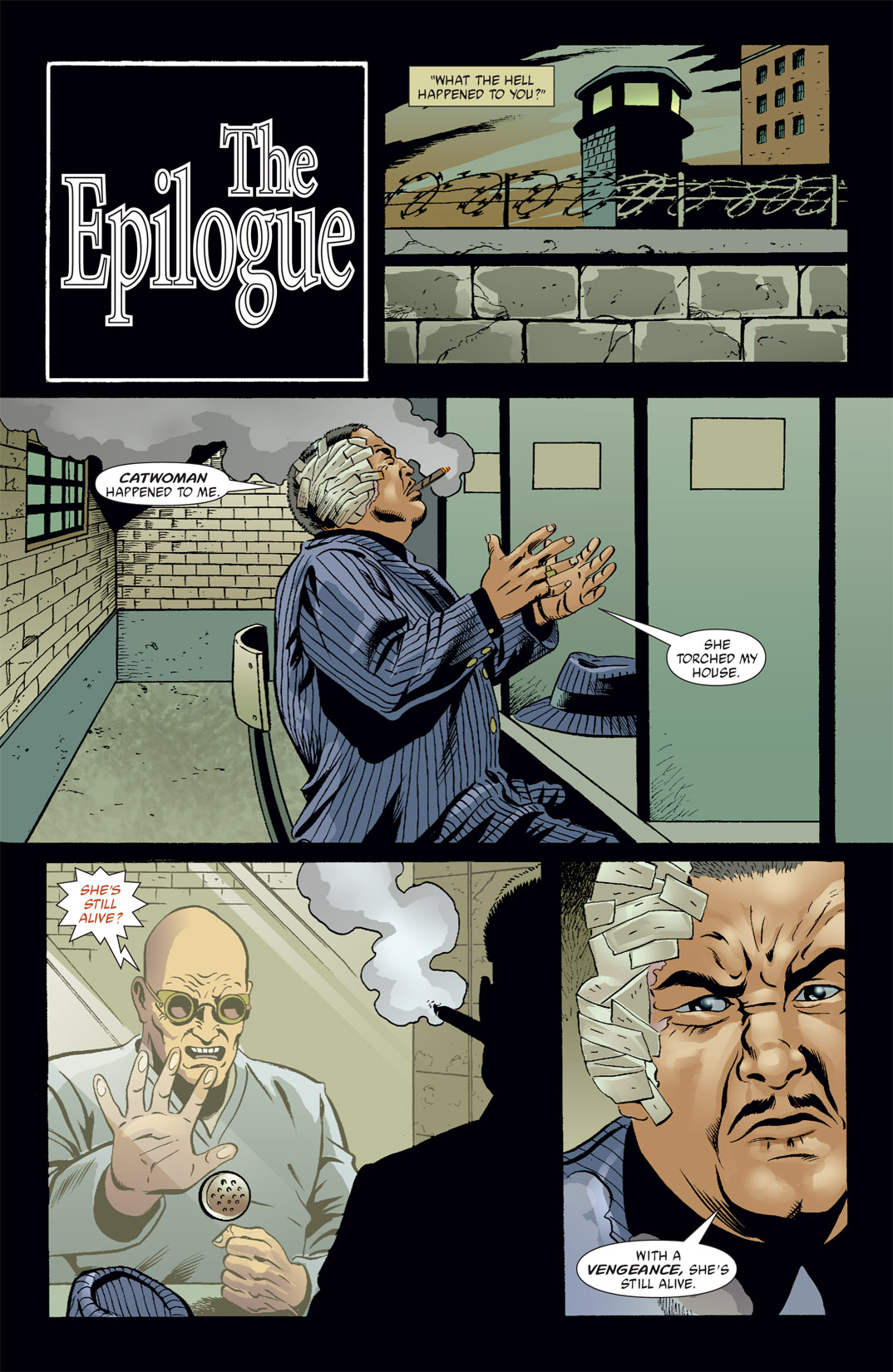 Read online Catwoman (2002) comic -  Issue #33 - 22