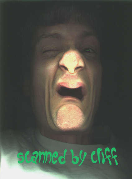 Read online Walt Disney Chip 'n' Dale comic -  Issue #48 - 37