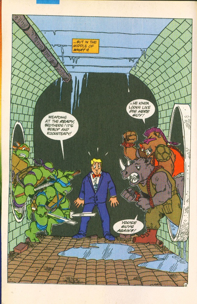 Read online Teenage Mutant Ninja Turtles Adventures (1989) comic -  Issue #9 - 13