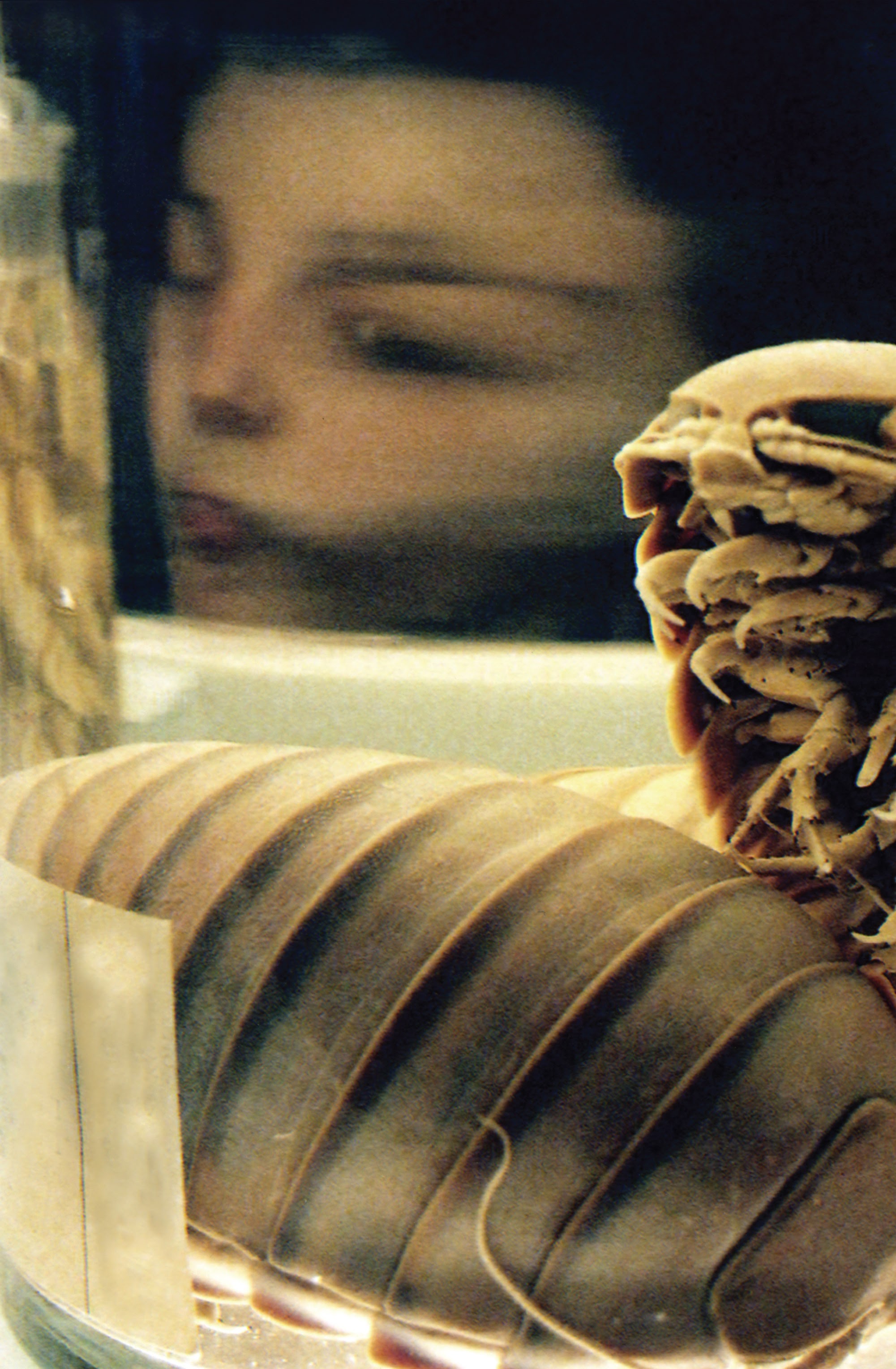 Read online The Killing Jar comic -  Issue # TPB (Part 1) - 3