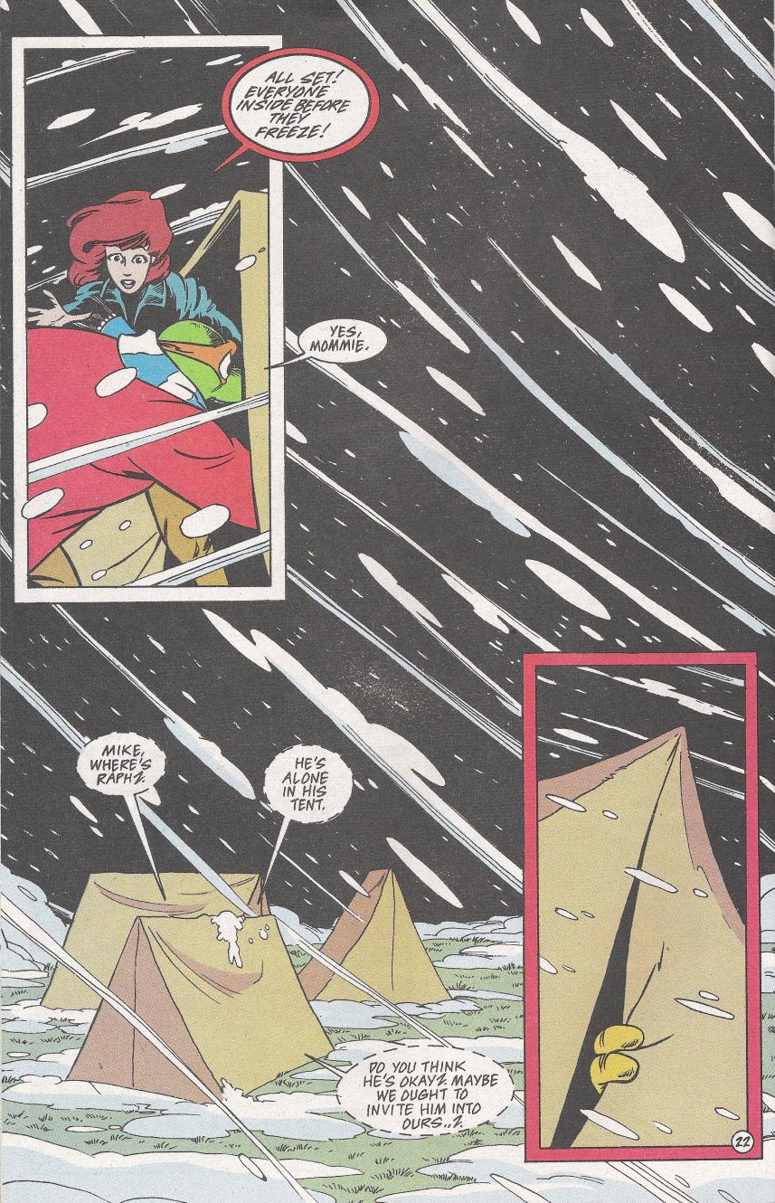 Read online Teenage Mutant Ninja Turtles Adventures (1989) comic -  Issue #68 - 23