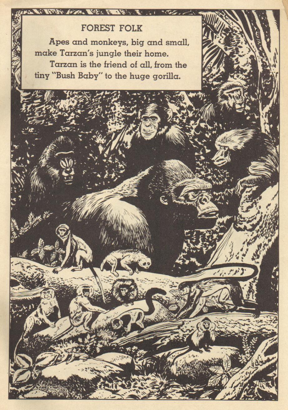 Read online Tarzan (1948) comic -  Issue #81 - 35