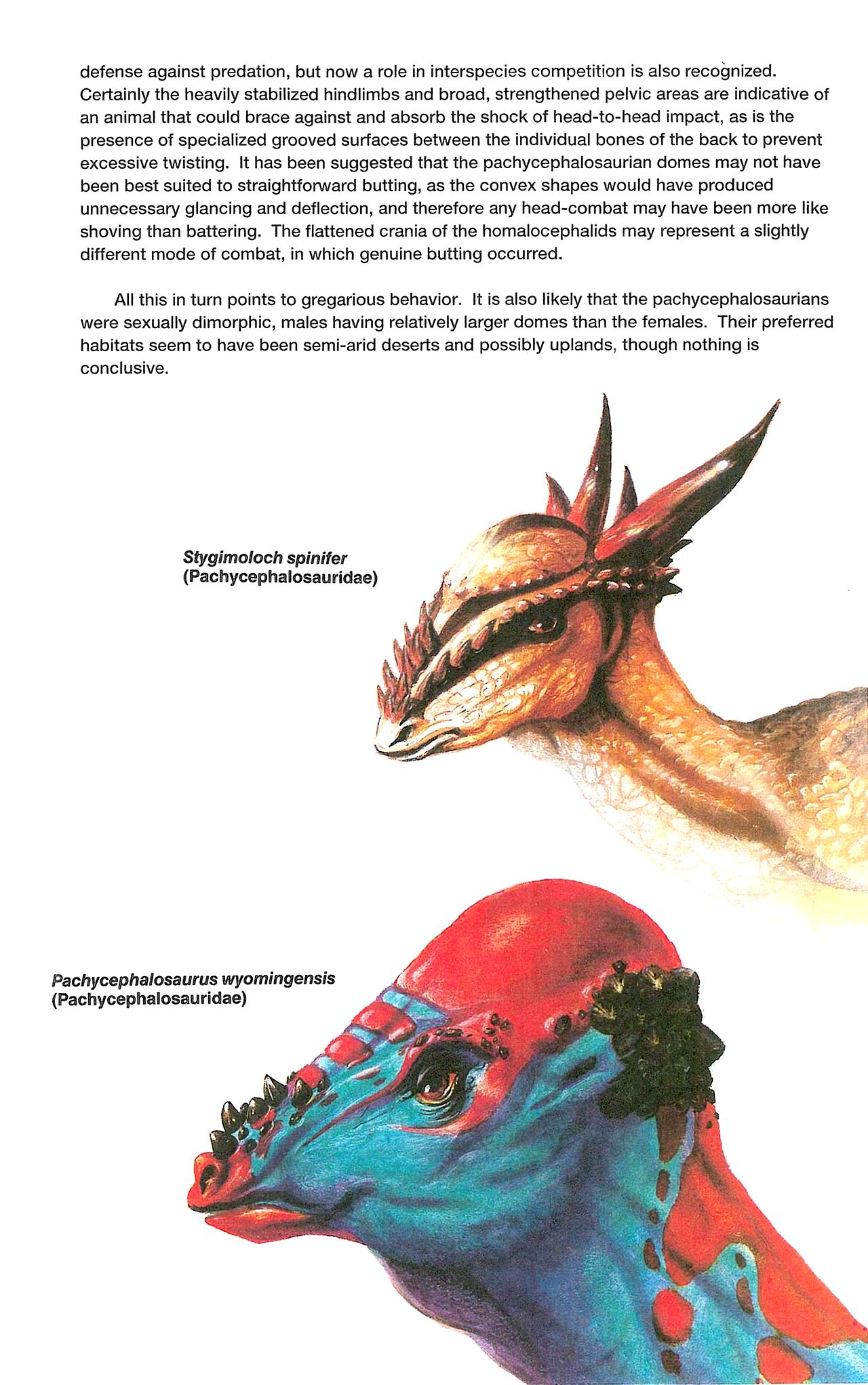 Read online Dinosaurs, A Celebration comic -  Issue #3 - 33
