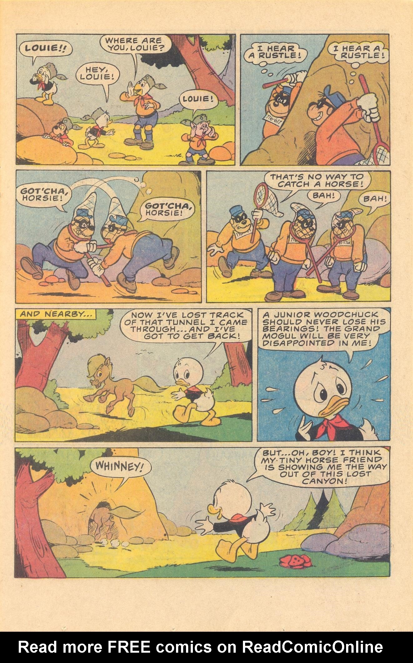 Read online Huey, Dewey, and Louie Junior Woodchucks comic -  Issue #81 - 11