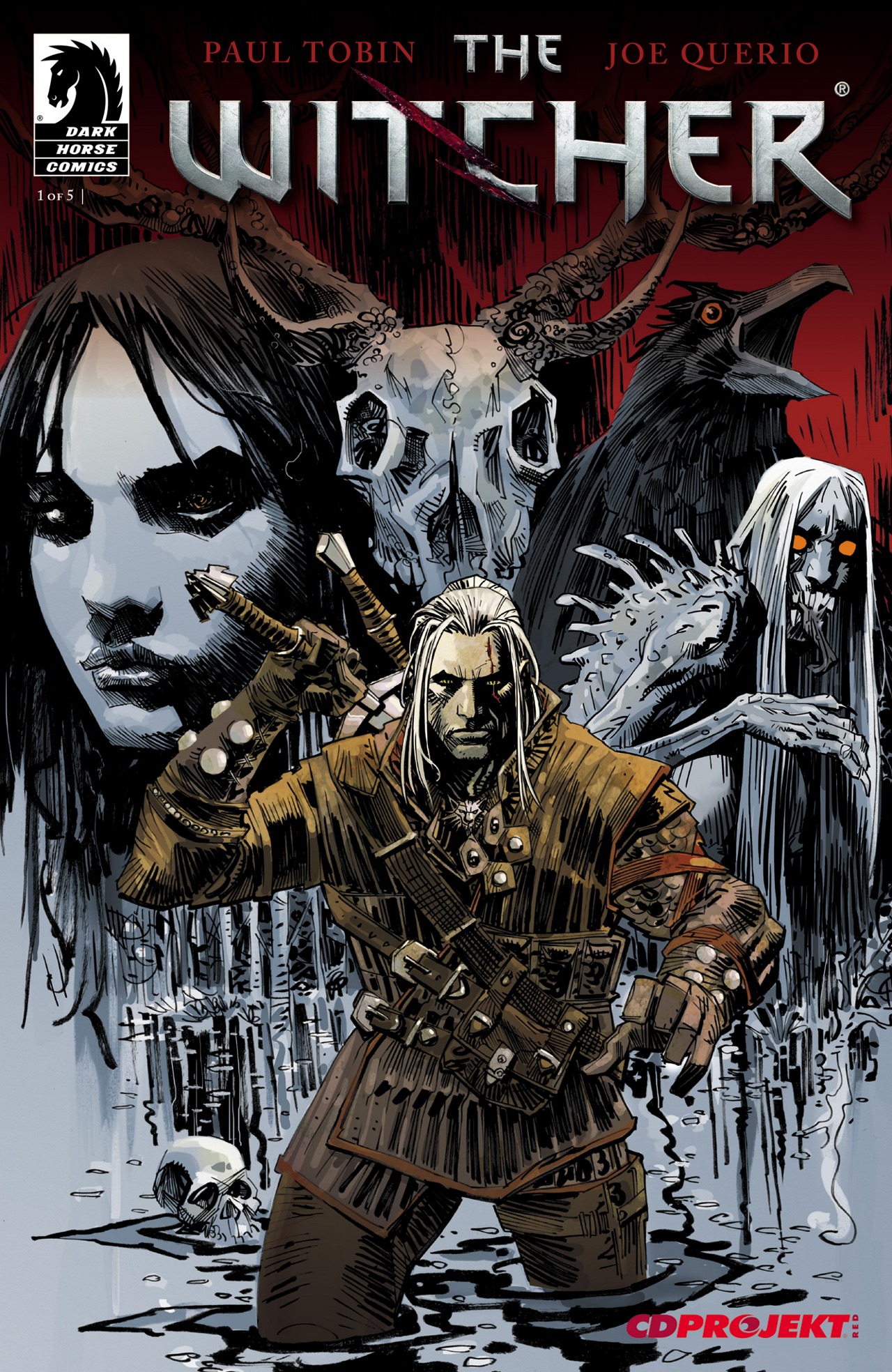Read online The Witcher (2014) comic -  Issue #1 - 1