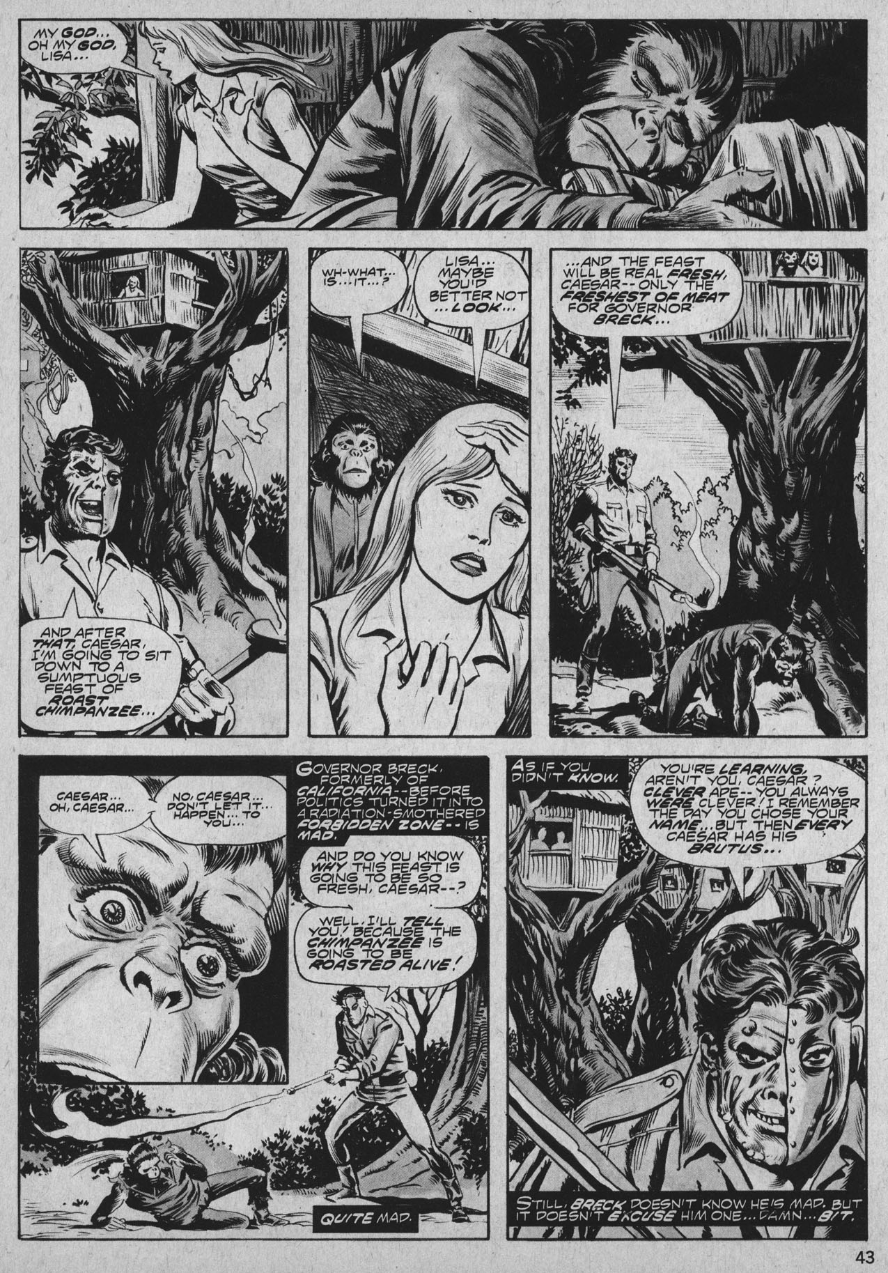 Read online Planet of the Apes comic -  Issue #27 - 42