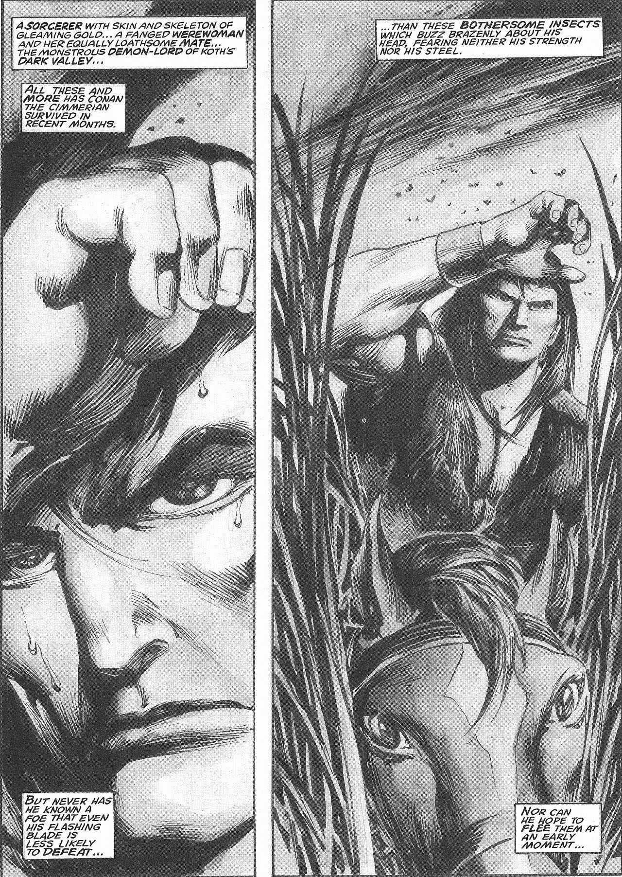 Read online The Savage Sword Of Conan comic -  Issue #207 - 9