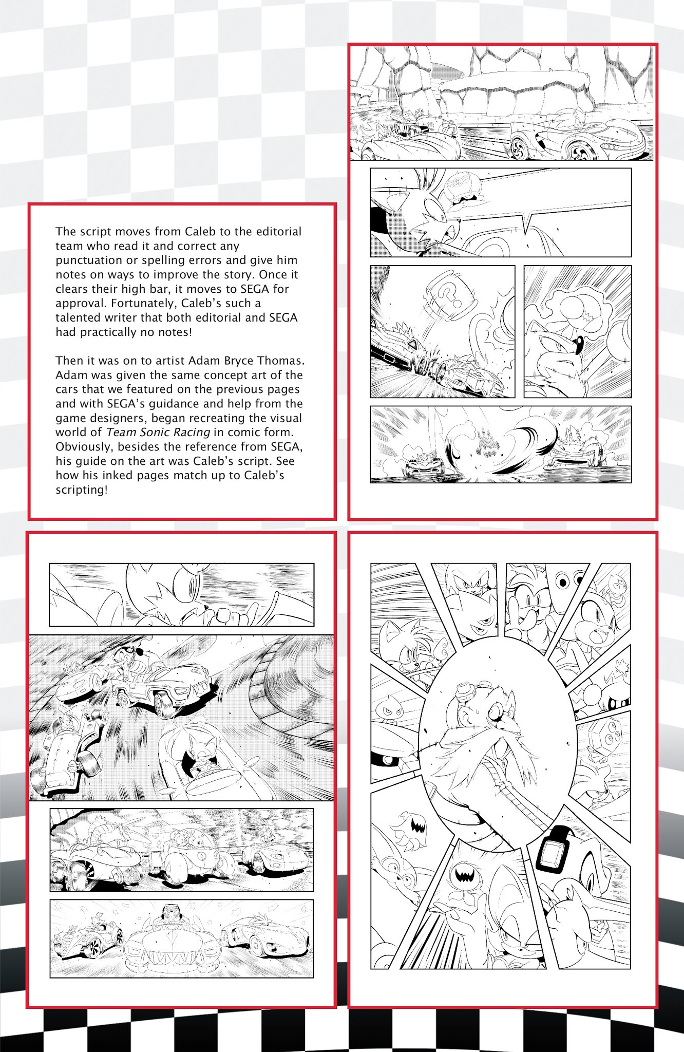 Read online Team Sonic Racing One-Shot comic -  Issue # Full - 28