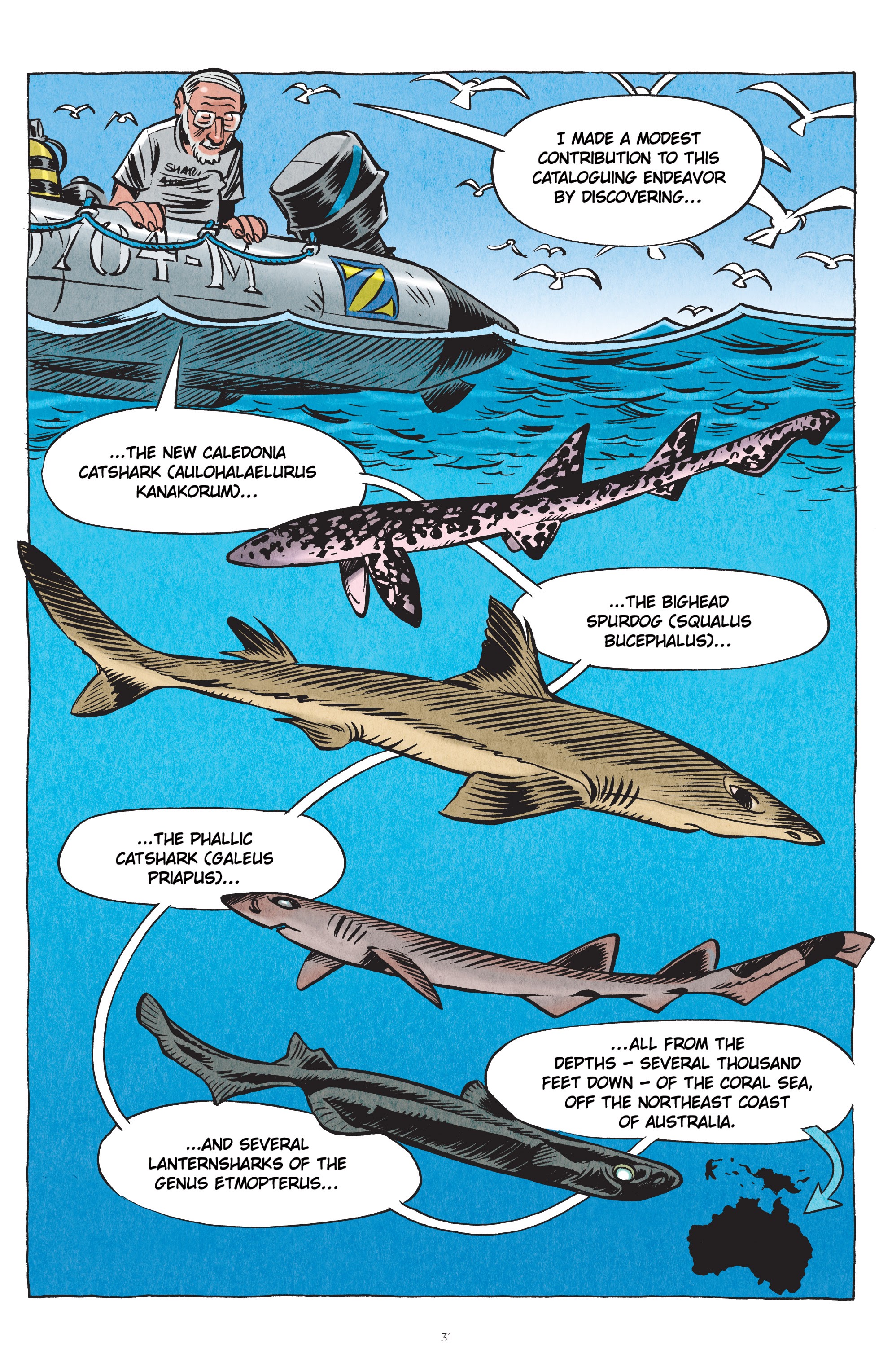 Read online Little Book of Knowledge: Sharks comic -  Issue # TPB - 31