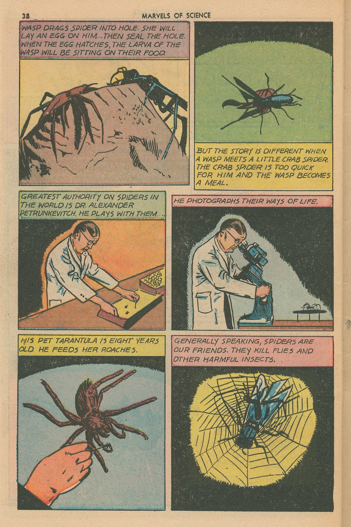 Read online Marvels Of Science comic -  Issue #3 - 40