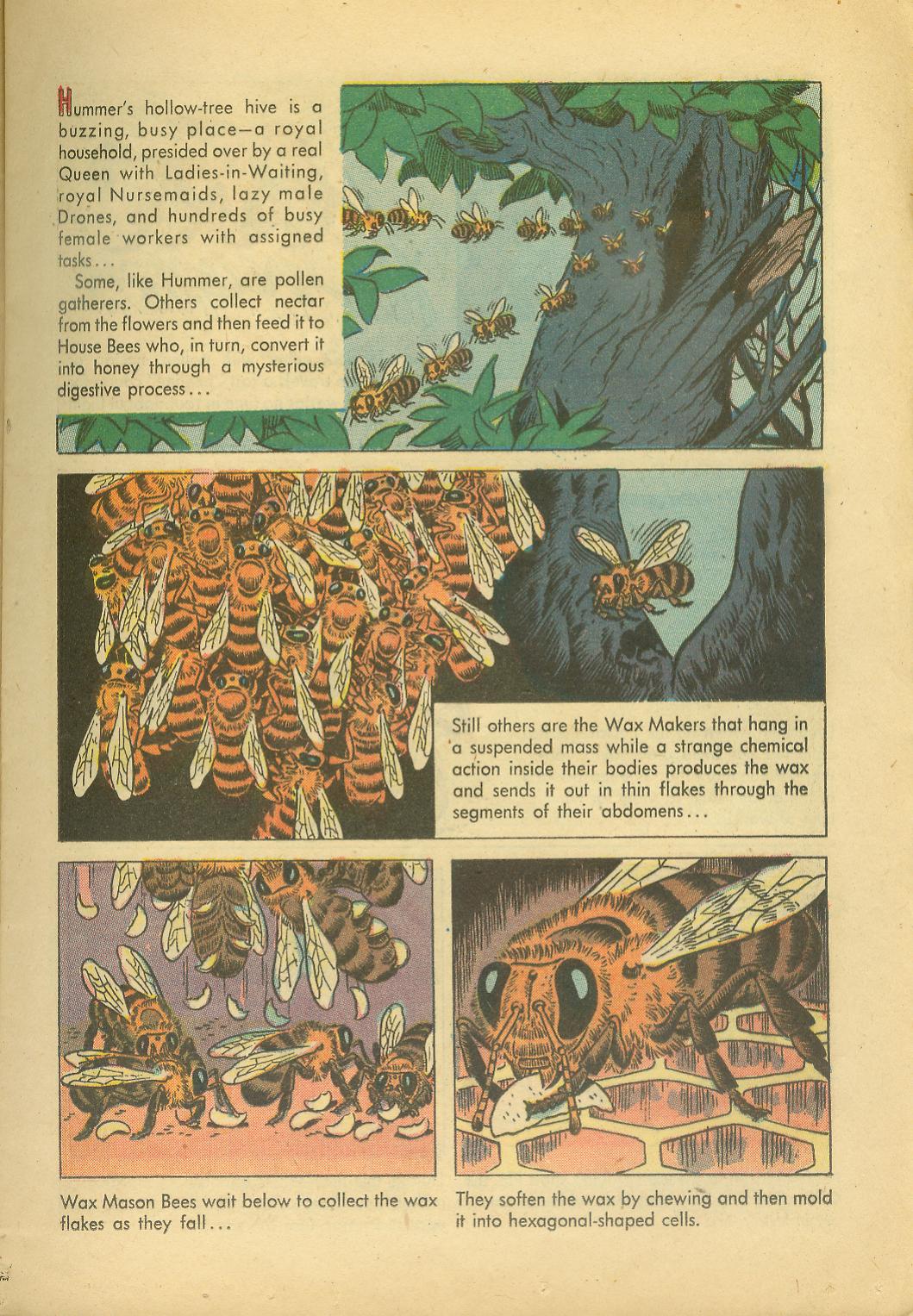 Read online Four Color Comics comic -  Issue #749 - 13