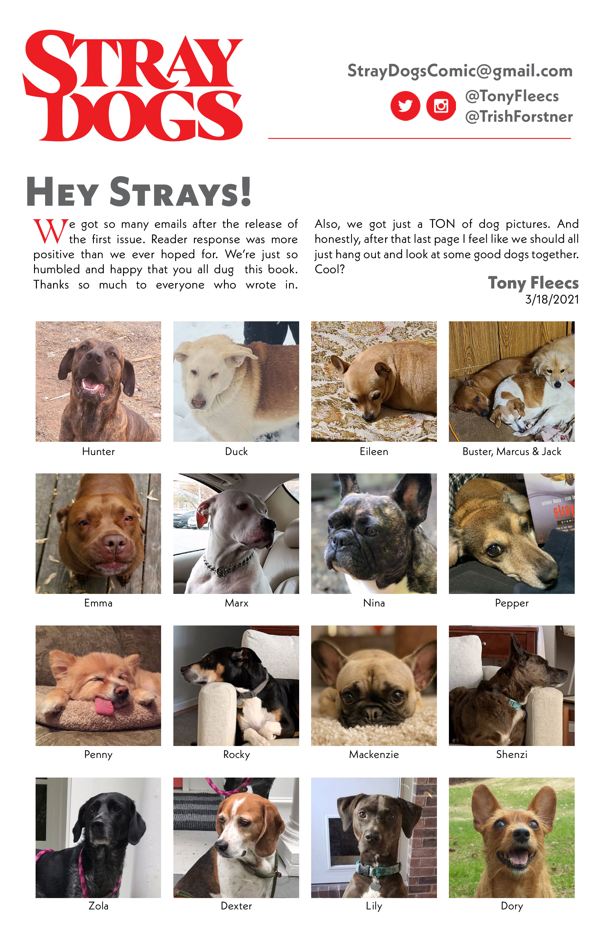 Read online Stray Dogs comic -  Issue #3 - 26