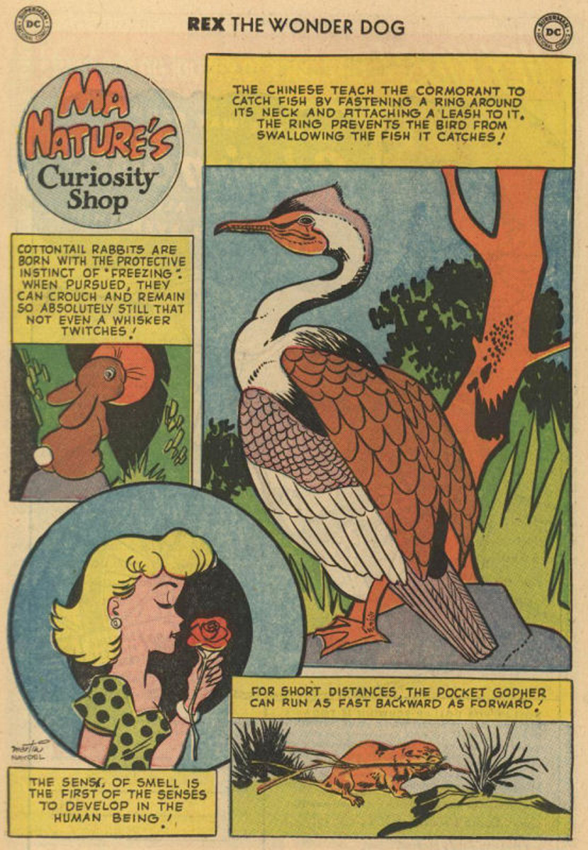 Read online The Adventures of Rex the Wonder Dog comic -  Issue #12 - 22