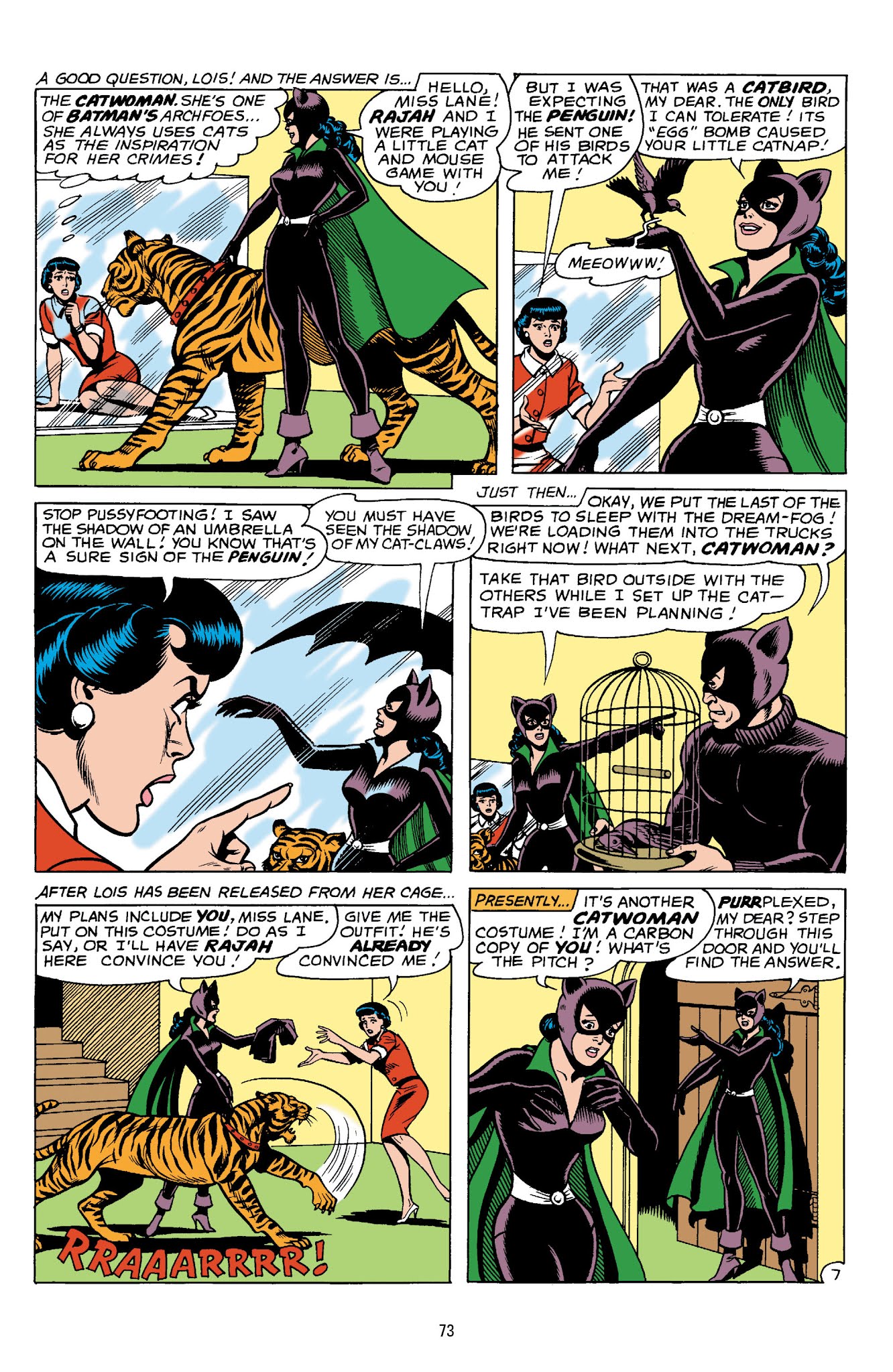 Read online Catwoman: A Celebration of 75 Years comic -  Issue # TPB (Part 1) - 75