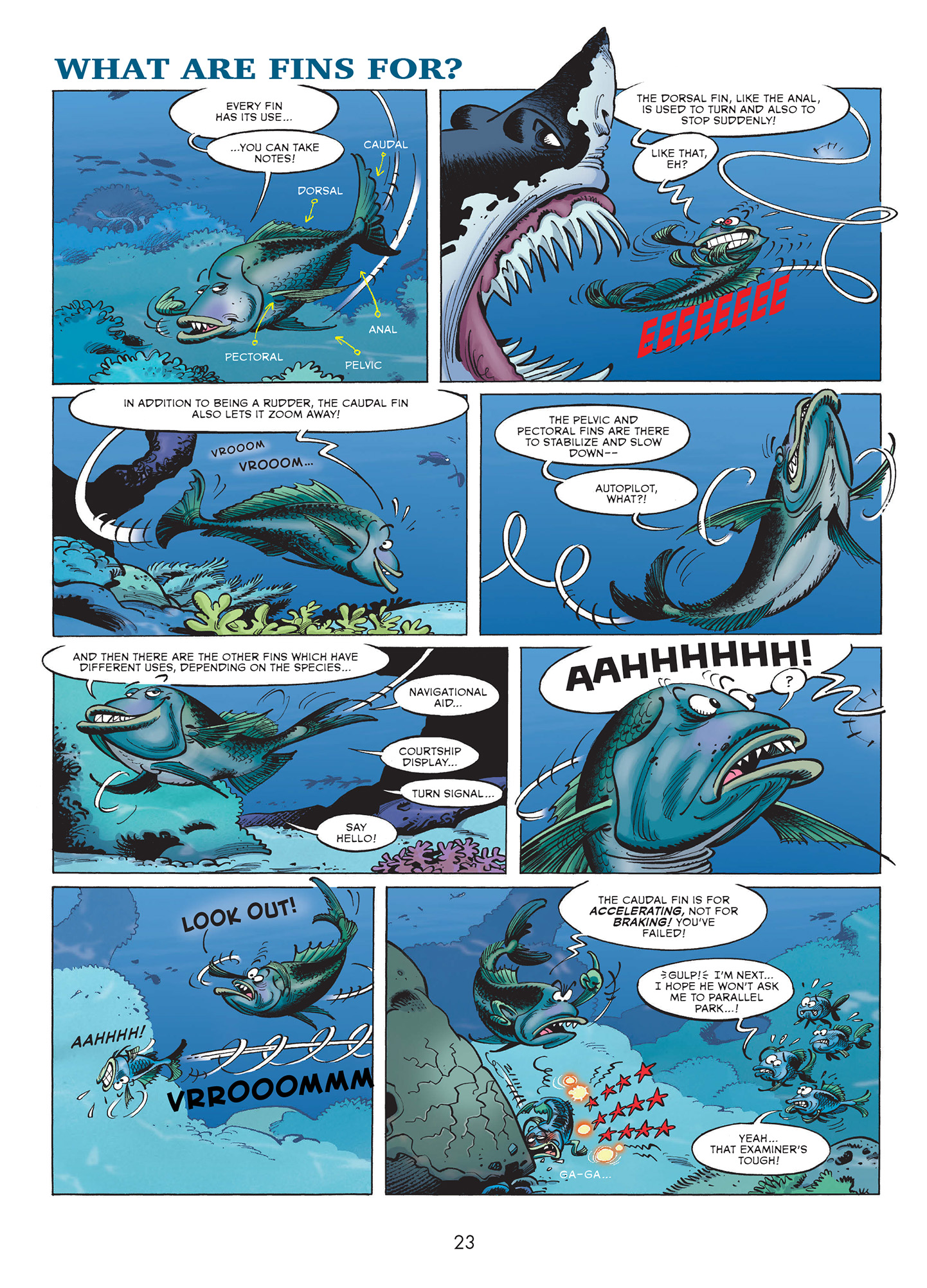 Read online Sea Creatures comic -  Issue #2 - 25