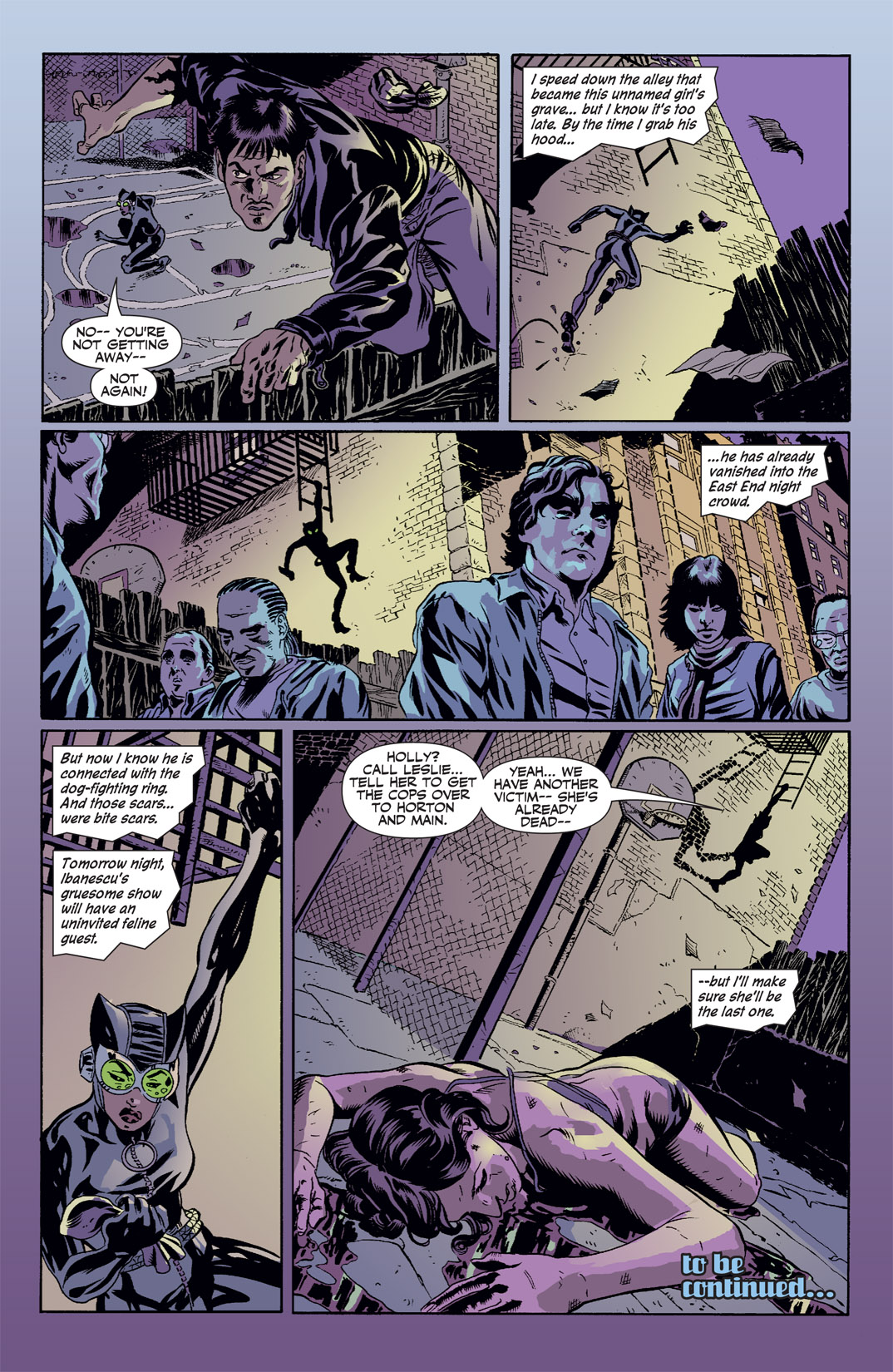 Read online Catwoman (2002) comic -  Issue #41 - 23