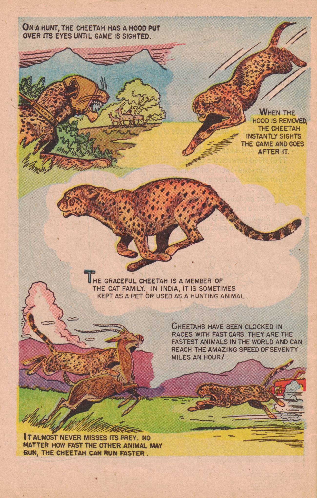 Read online Classics Illustrated Junior comic -  Issue #506 - 34