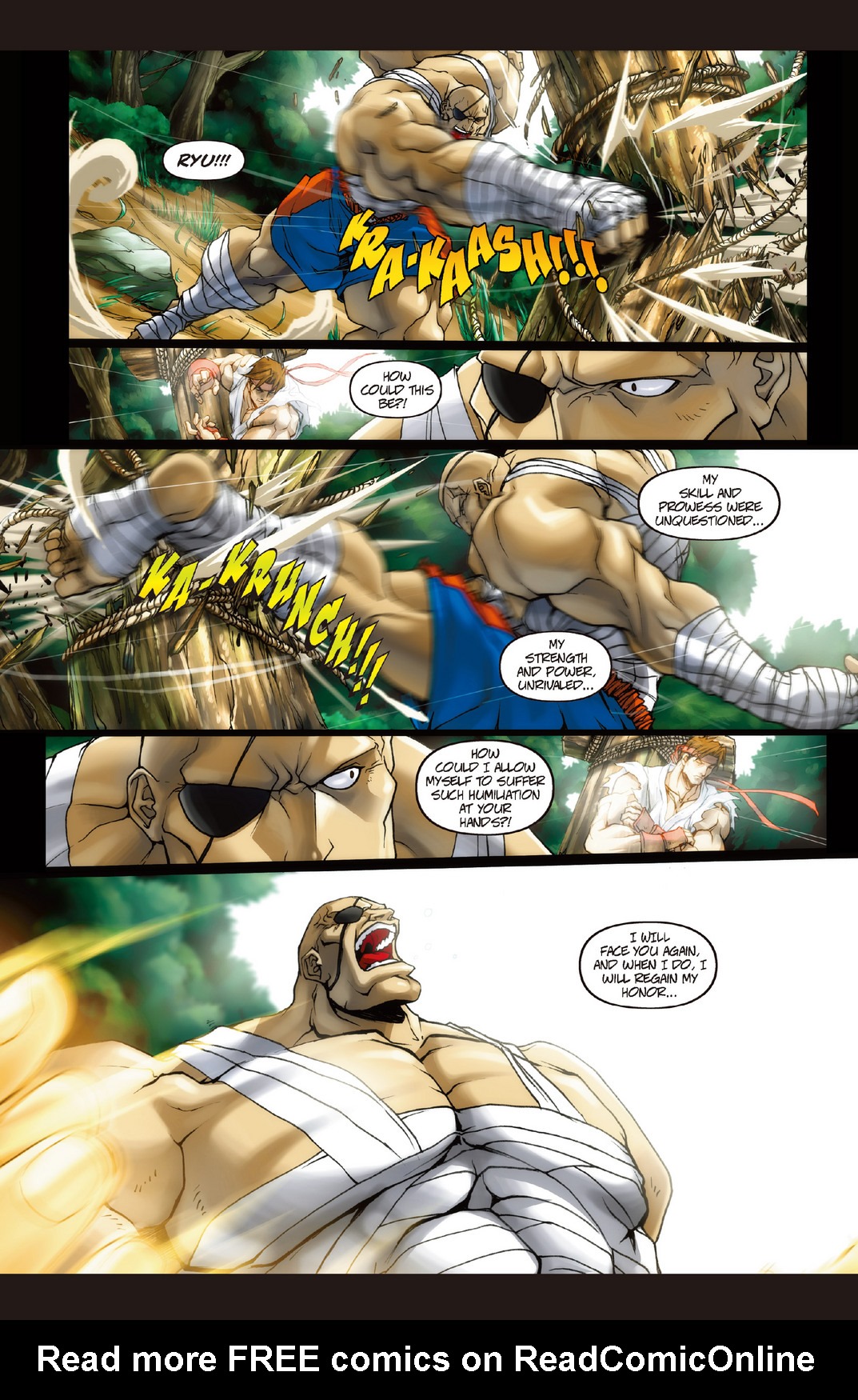 Read online Street Fighter Remix comic -  Issue # Full - 8