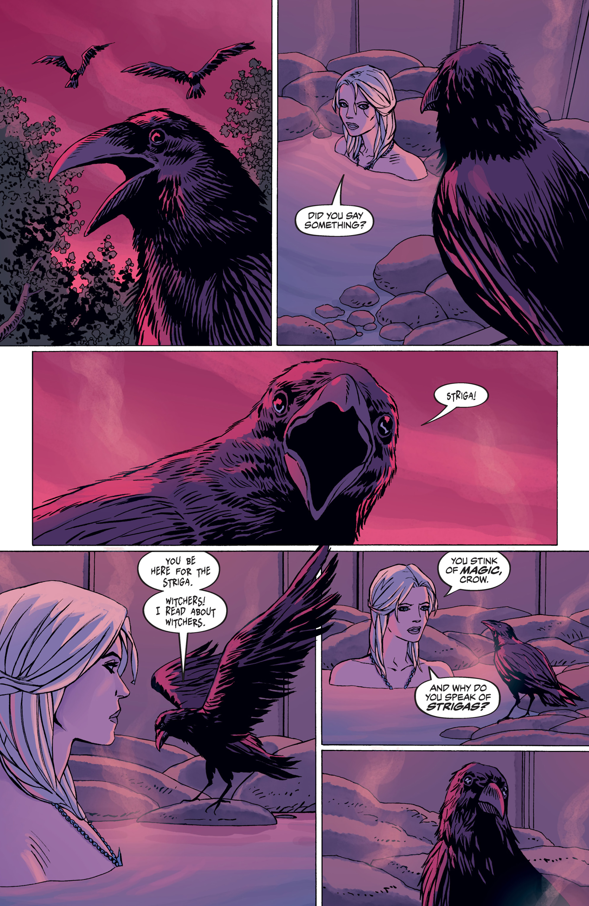 Read online The Witcher Omnibus comic -  Issue # TPB (Part 4) - 24