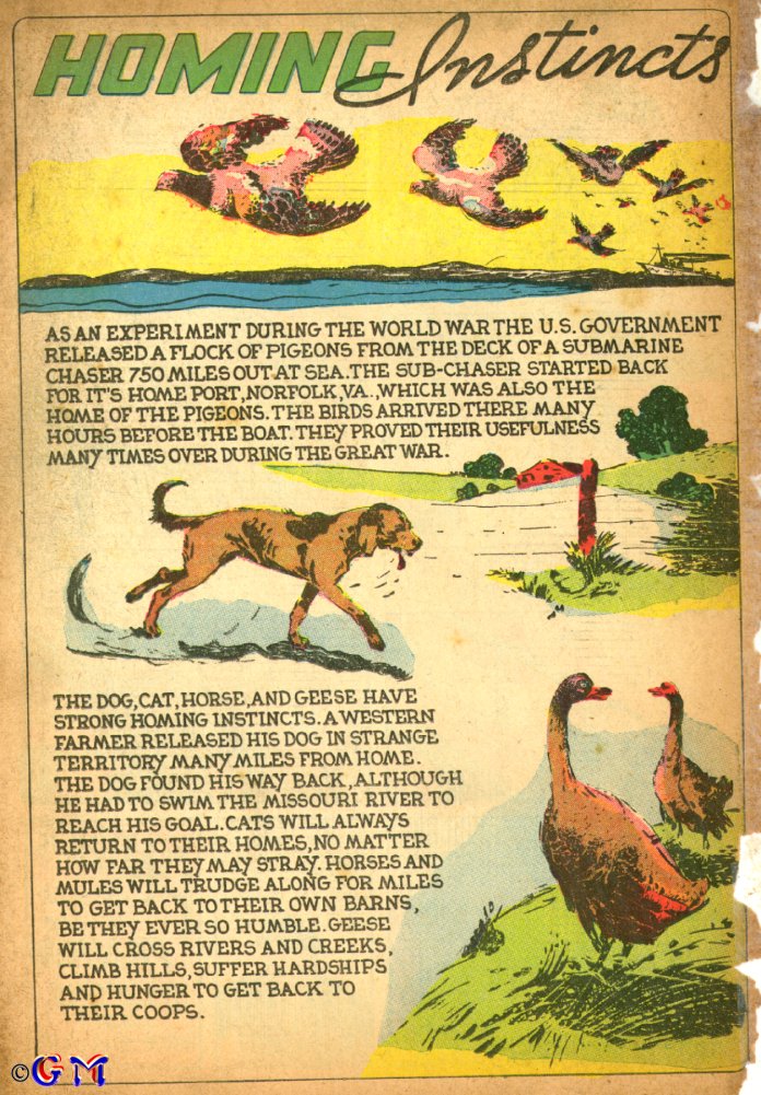 Read online Amazing Mystery Funnies comic -  Issue #12 - 51