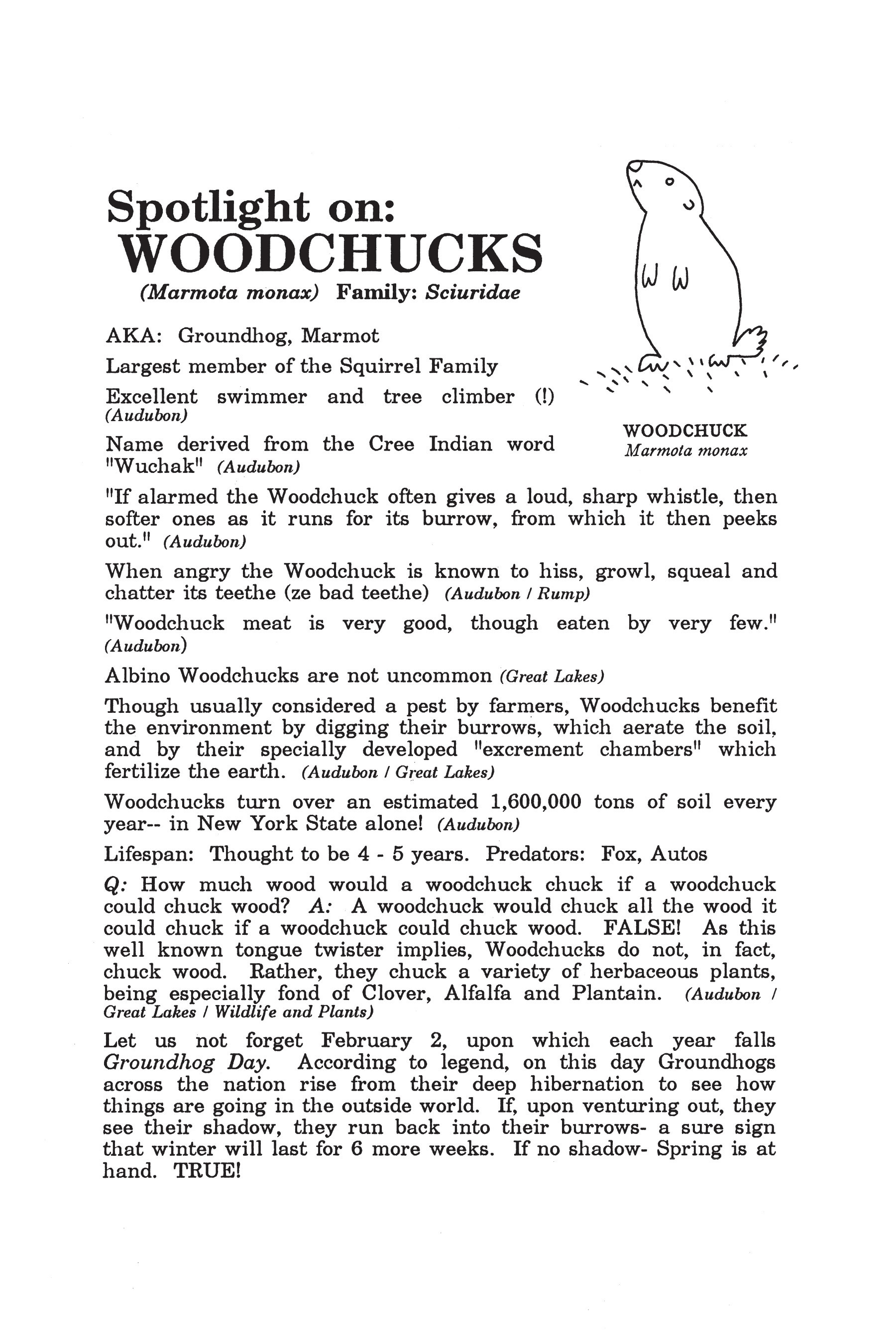 Read online Map of My Heart comic -  Issue # TPB (Part 1) - 34