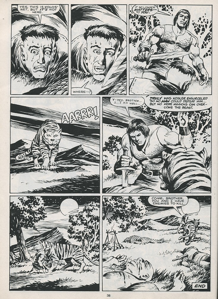 The Savage Sword Of Conan issue 215 - Page 40