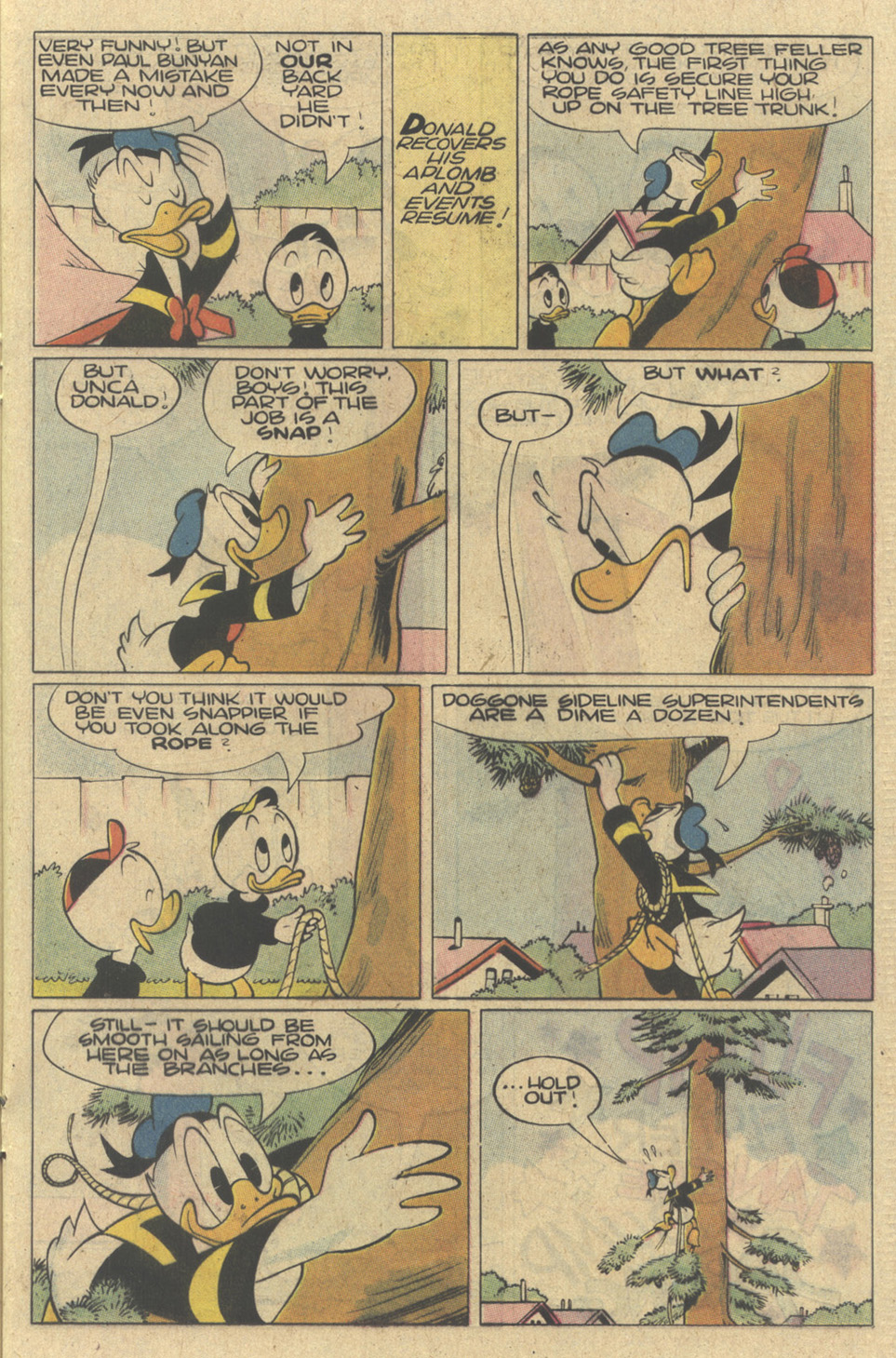 Read online Walt Disney's Donald Duck (1986) comic -  Issue #271 - 17