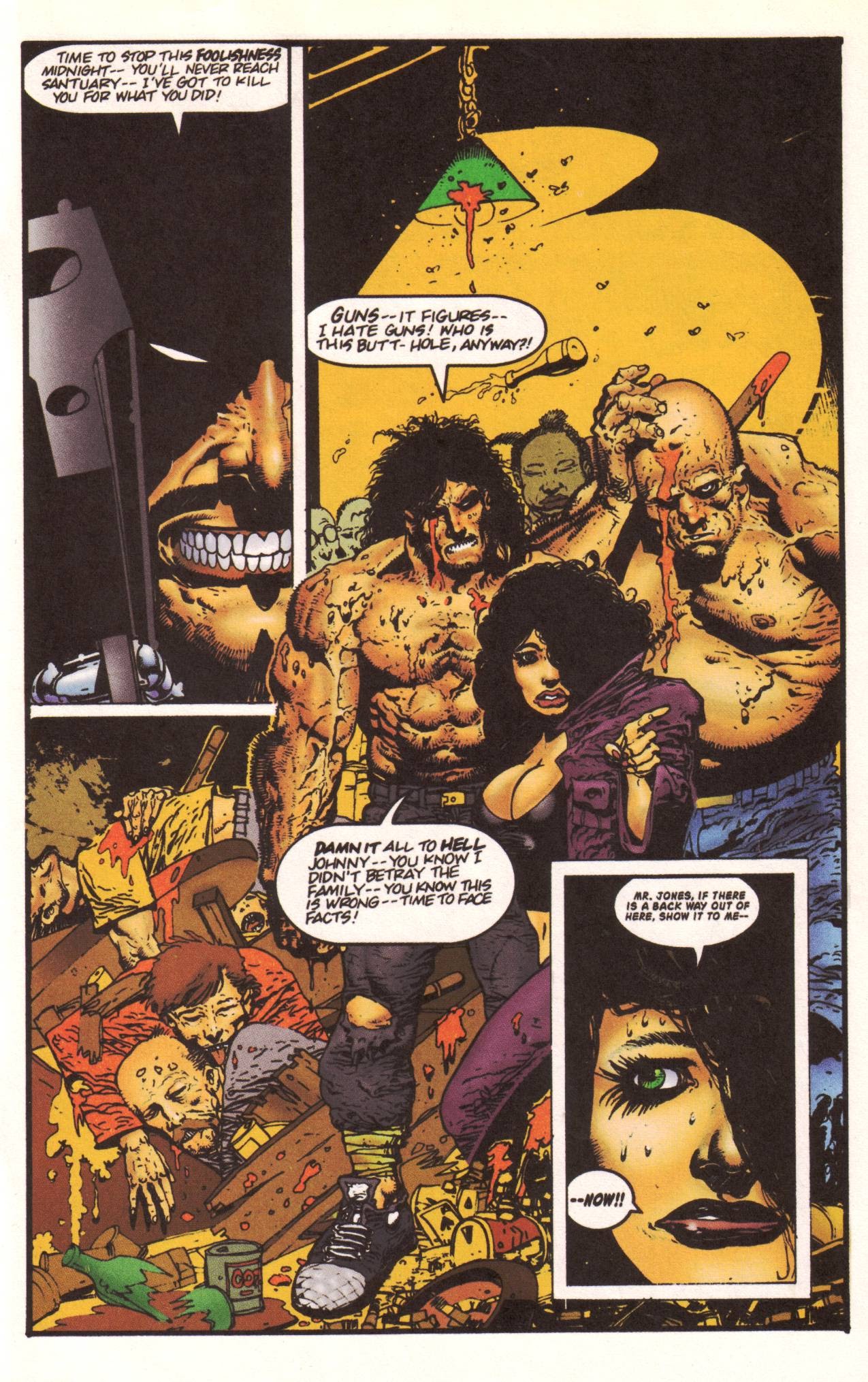 Read online Casey Jones & Raphael comic -  Issue # Full - 17