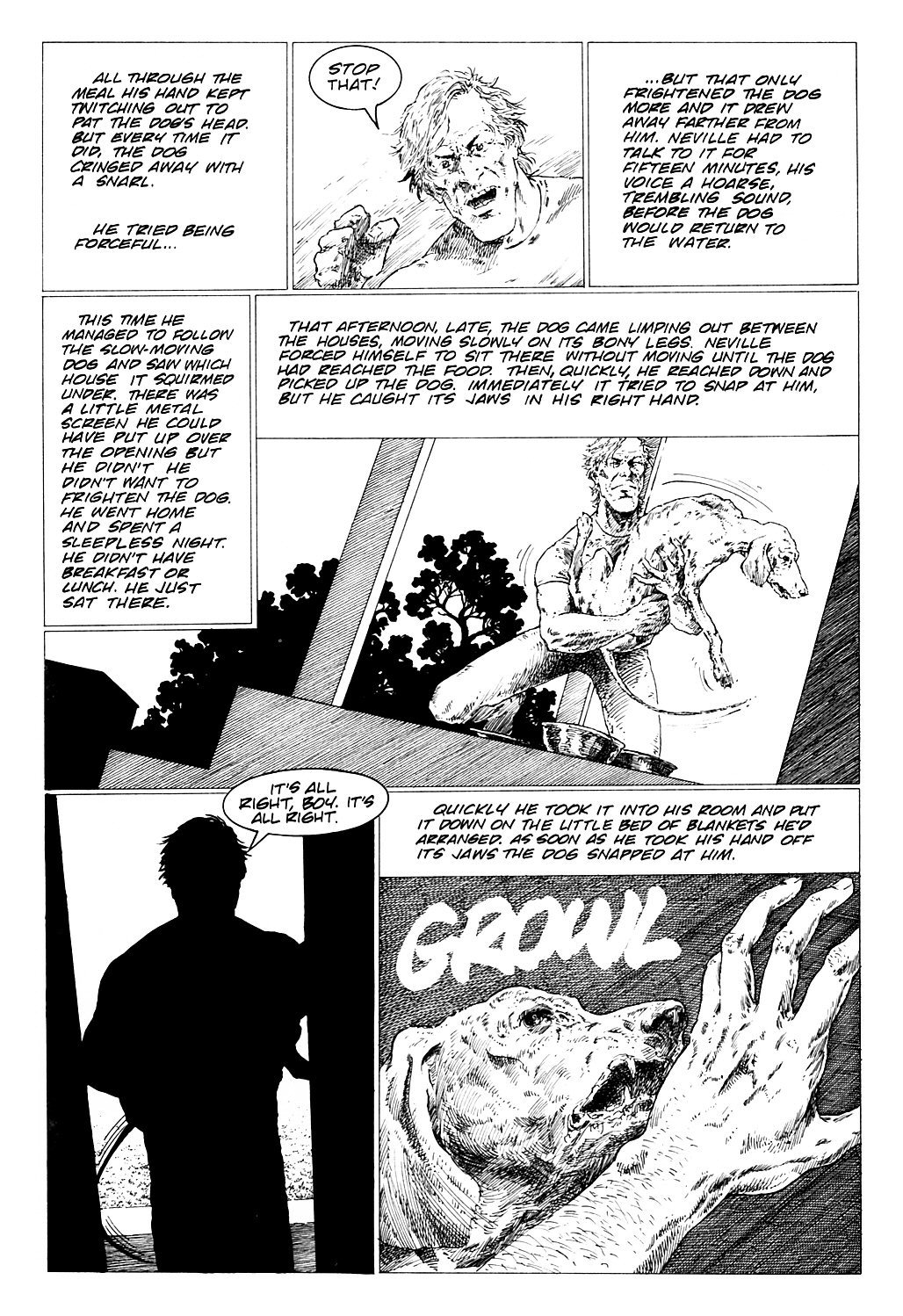 Read online Richard Matheson's I Am Legend comic -  Issue # TPB - 149