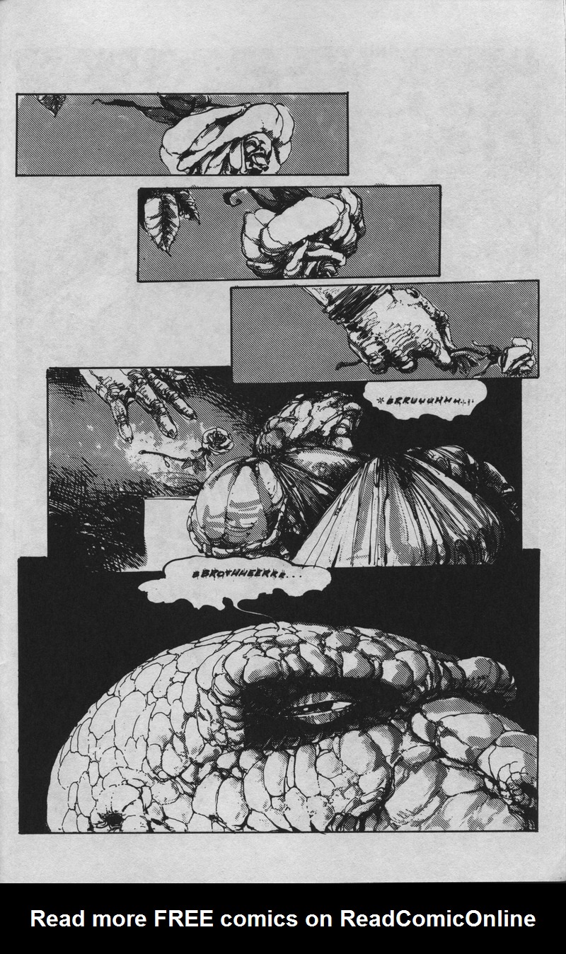 Read online Teenage Mutant Ninja Turtles (1984) comic -  Issue #36 - 26