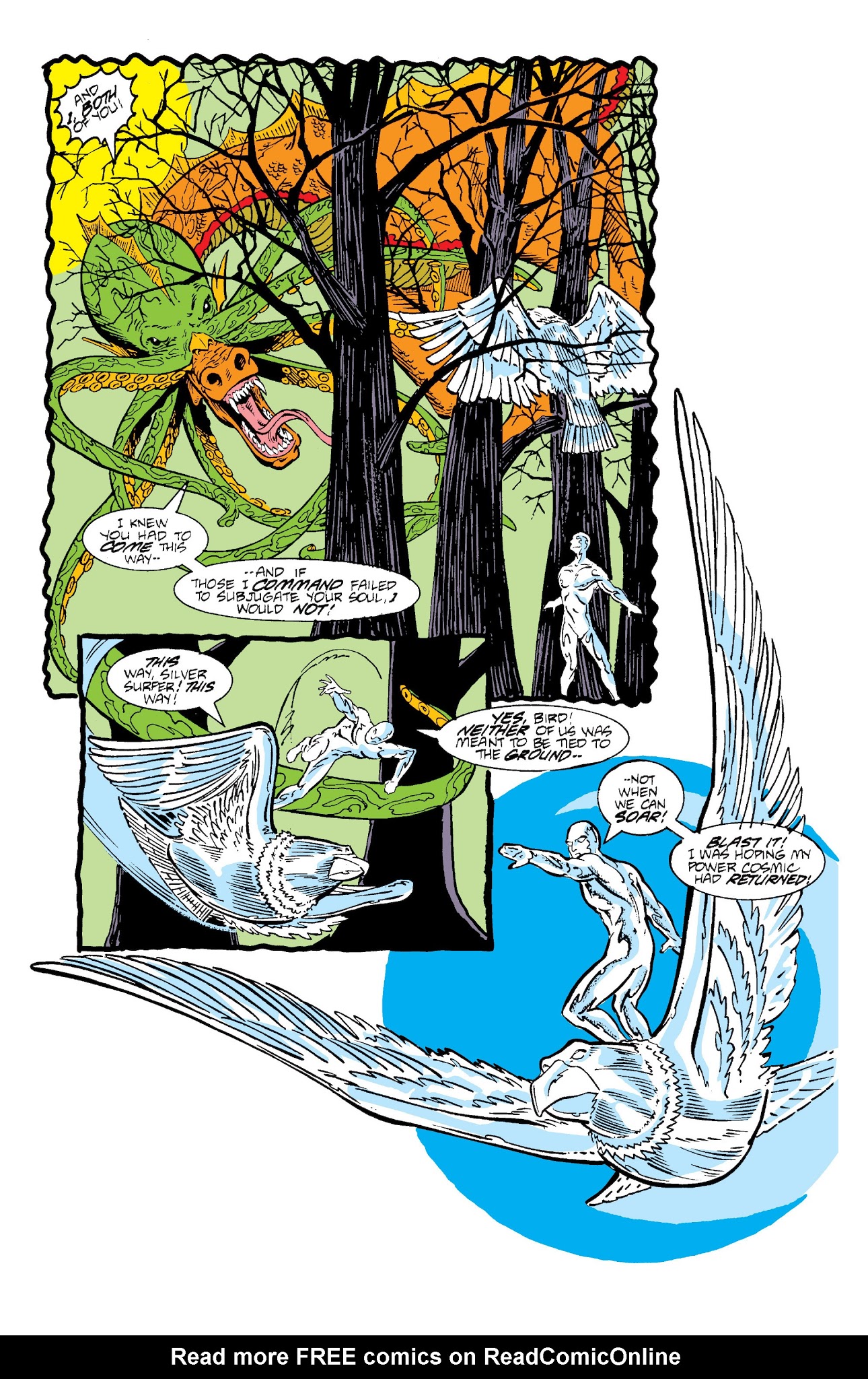 Read online Silver Surfer Epic Collection comic -  Issue # TPB 3 - 247