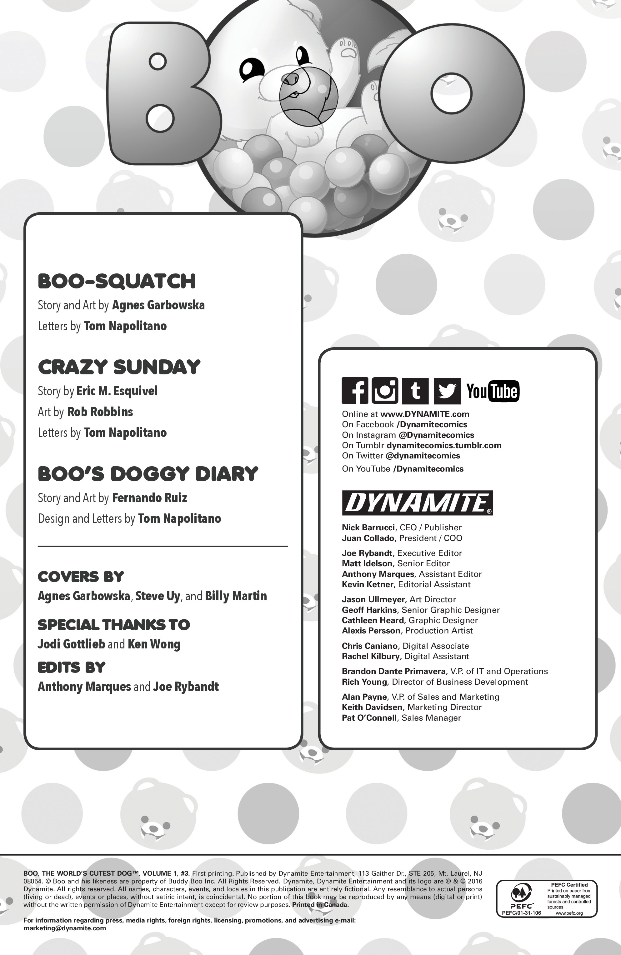 Read online Boo, The World's Cutest Dog comic -  Issue #3 - 4