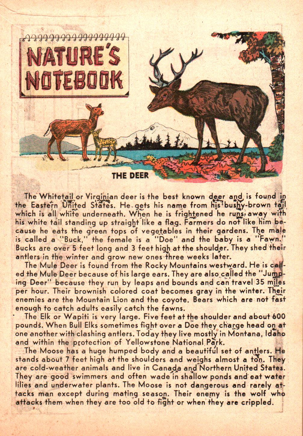 Read online Little Archie (1956) comic -  Issue #3 - 33