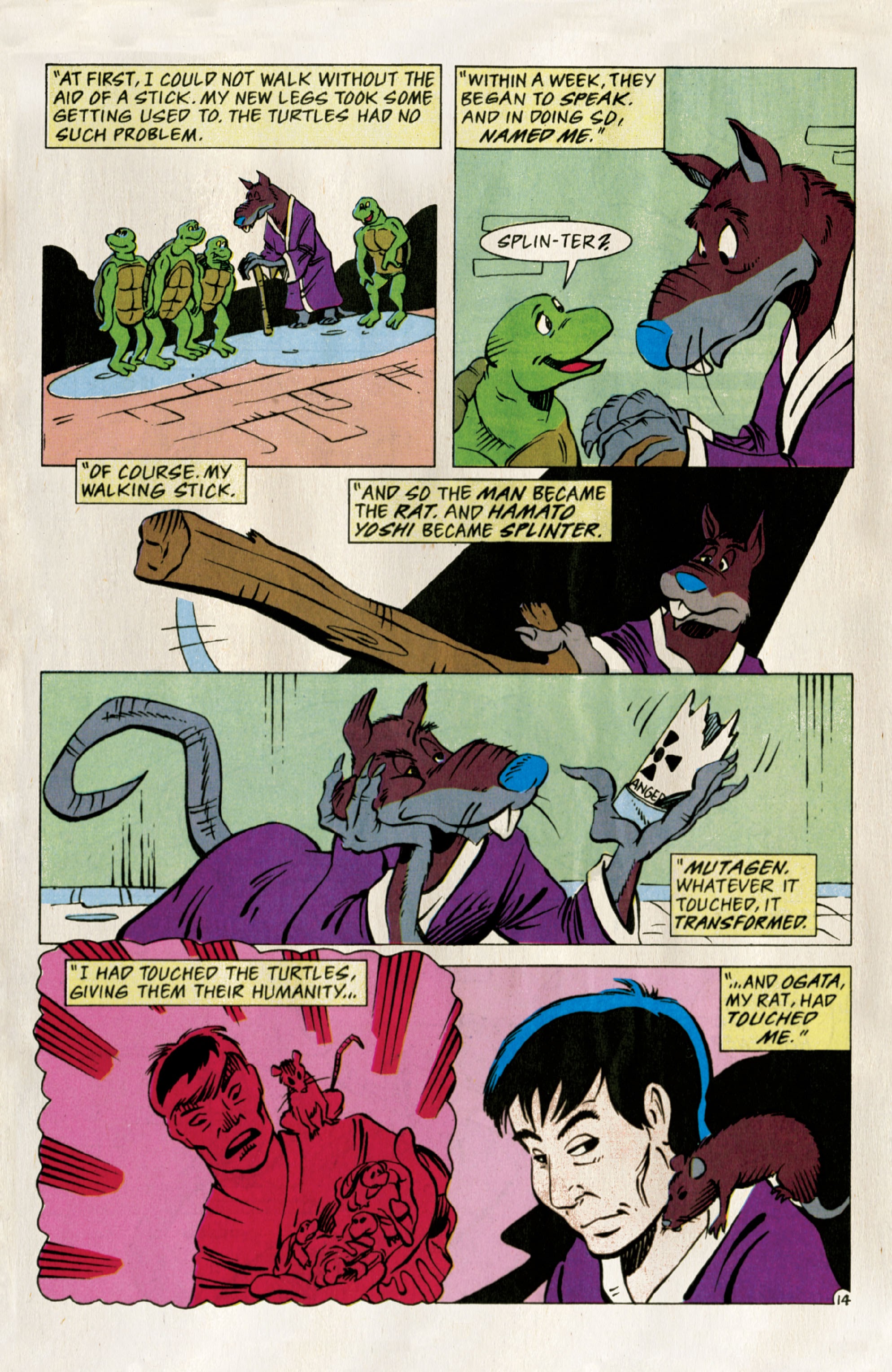 Read online Teenage Mutant Ninja Turtles: Best Of comic -  Issue # Splinter - 16