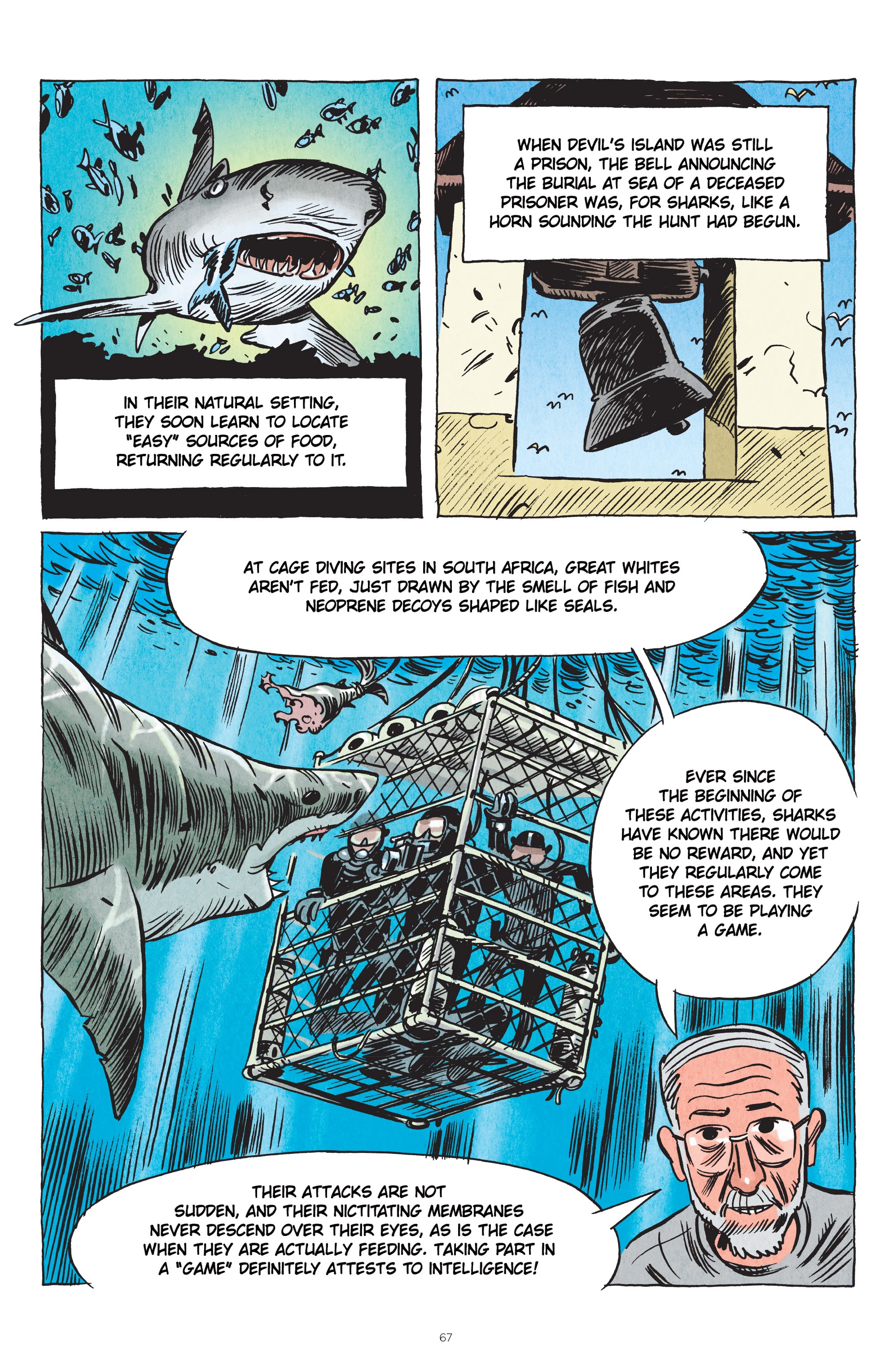 Read online Little Book of Knowledge: Sharks comic -  Issue # TPB - 67