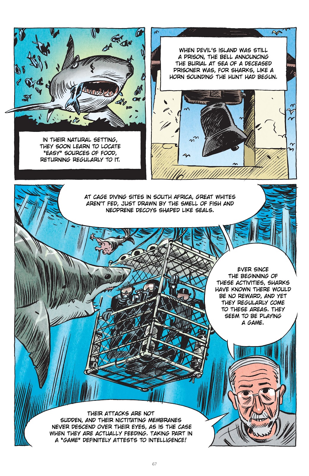 Little Book of Knowledge: Sharks issue TPB - Page 67