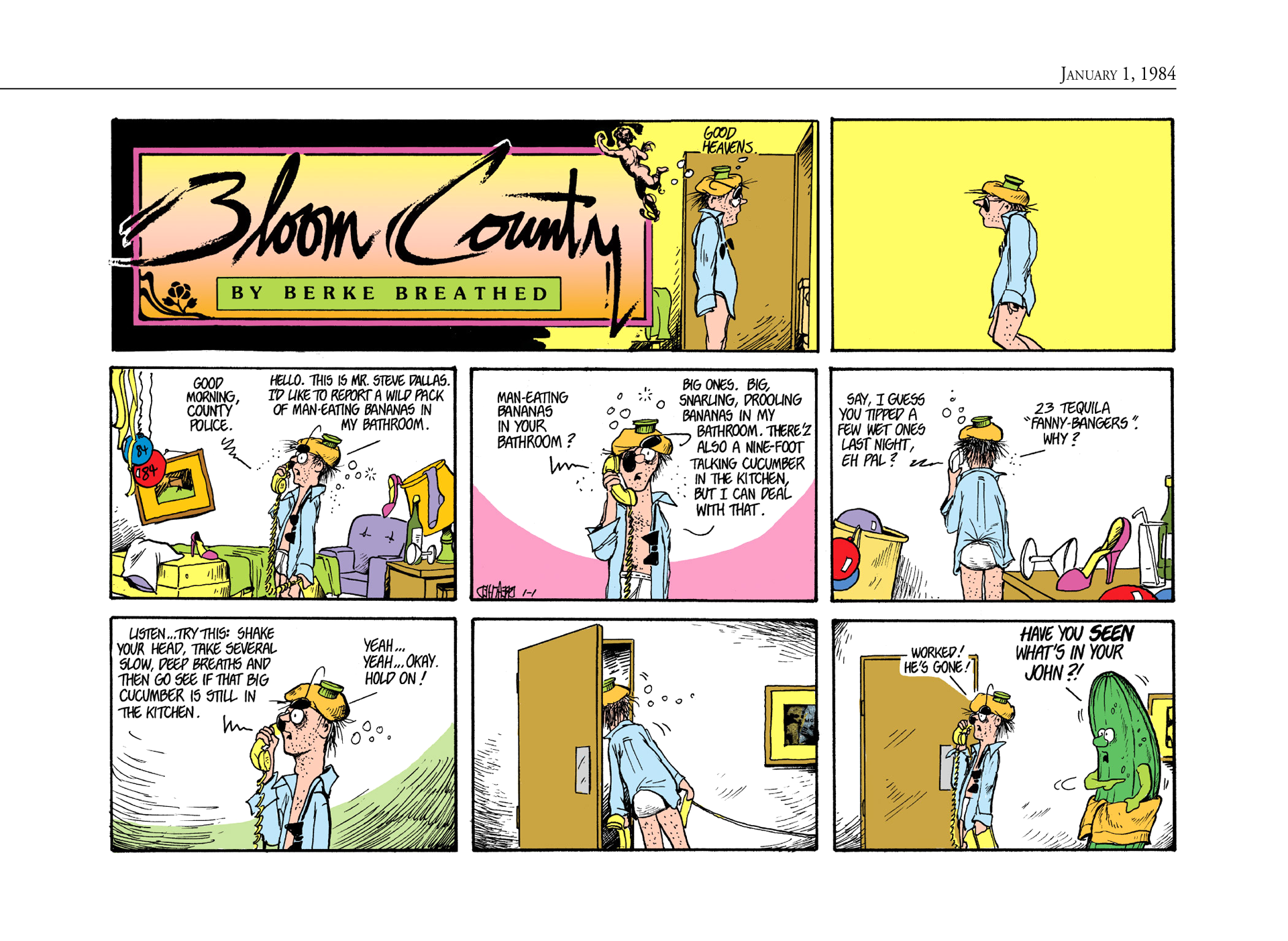 Read online The Bloom County Digital Library comic -  Issue # TPB 4 (Part 1) - 7