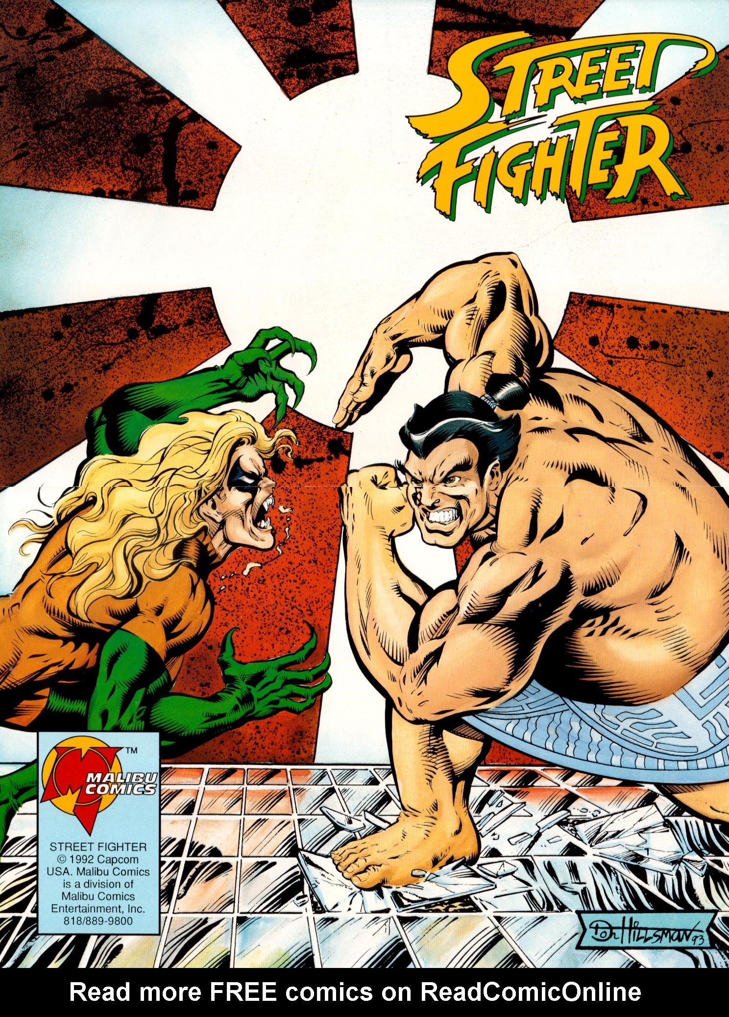 Read online Street Fighter (1991) comic -  Issue #3 - 28