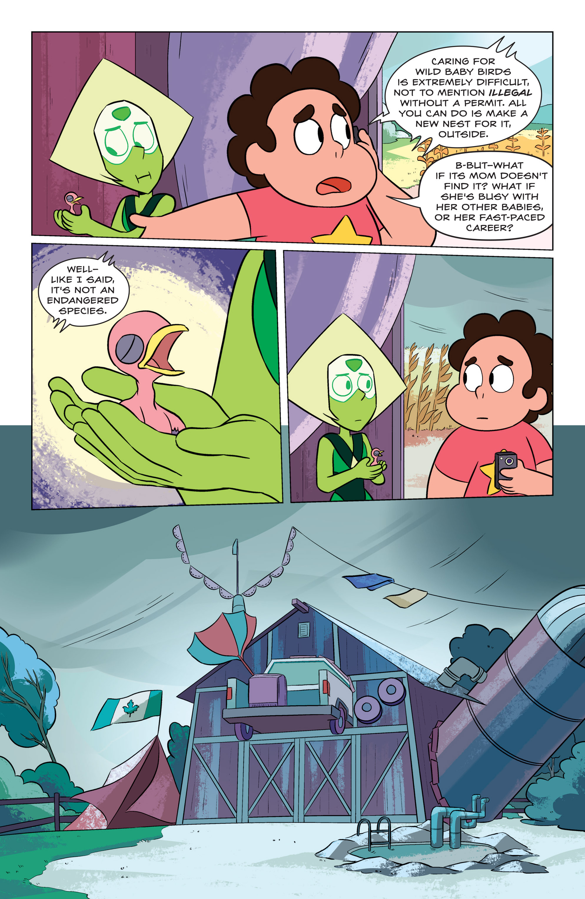 Read online Steven Universe Ongoing comic -  Issue #1 - 10