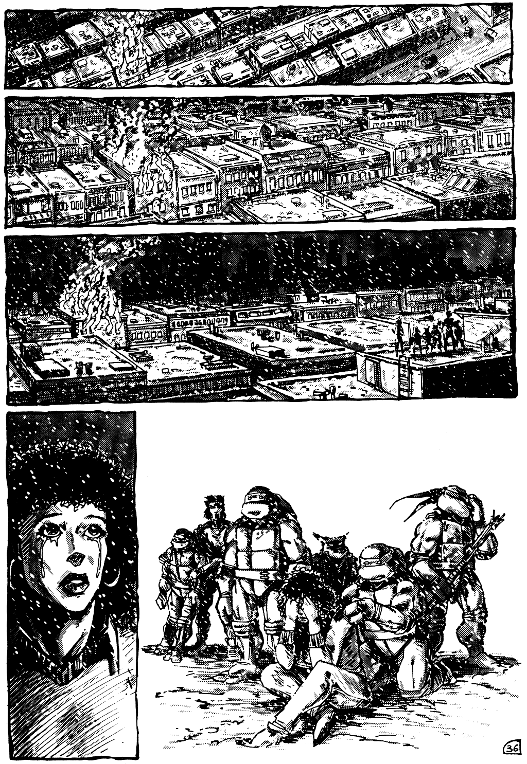 Read online Teenage Mutant Ninja Turtles (1984) comic -  Issue #10 - 37