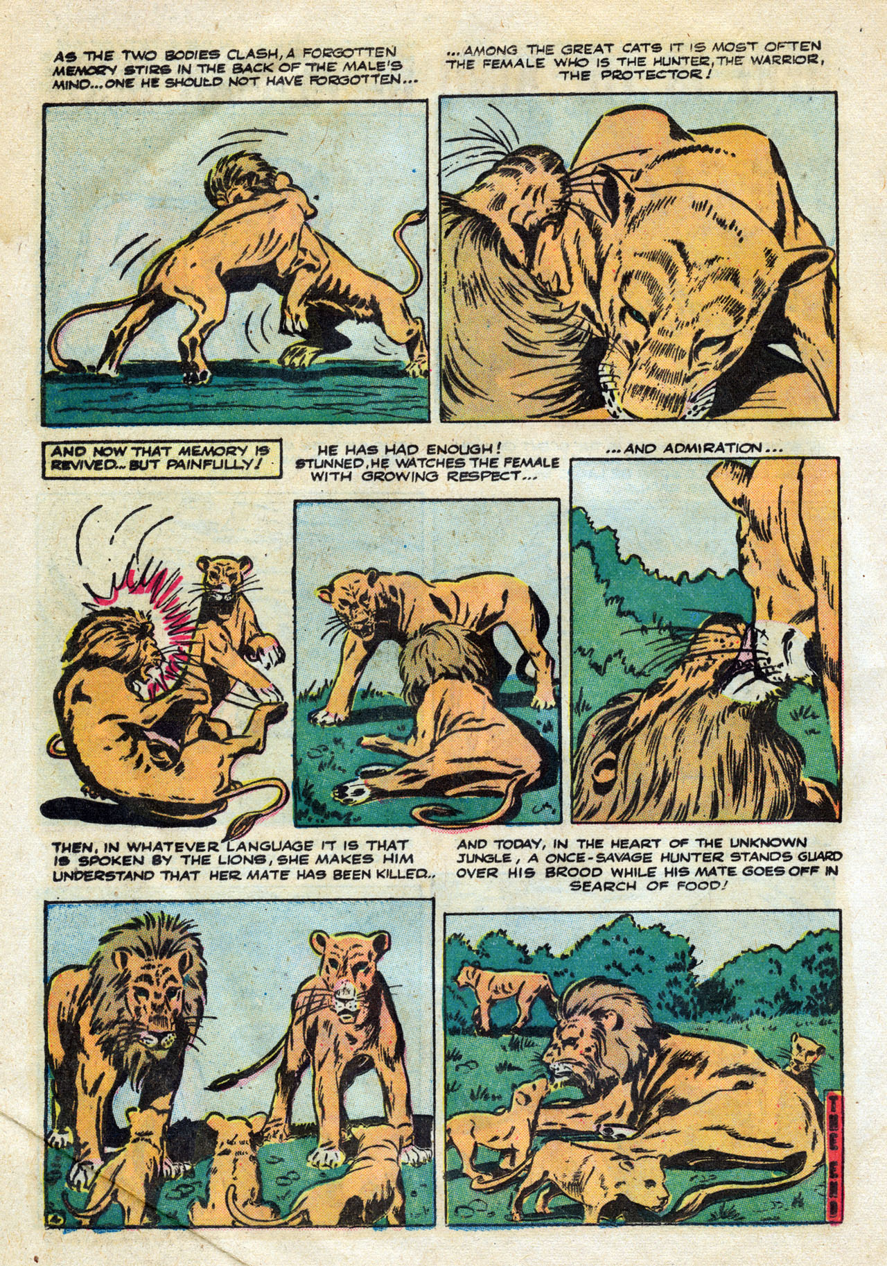 Read online Jann of the Jungle comic -  Issue #12 - 24