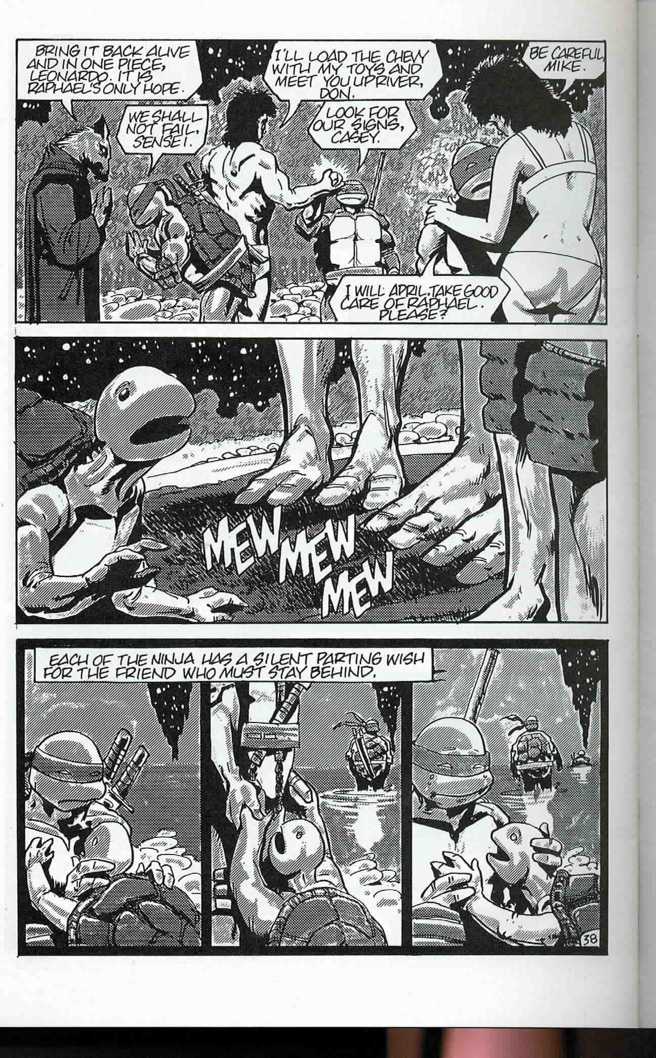Read online Teenage Mutant Ninja Turtles (1984) comic -  Issue #24 - 39