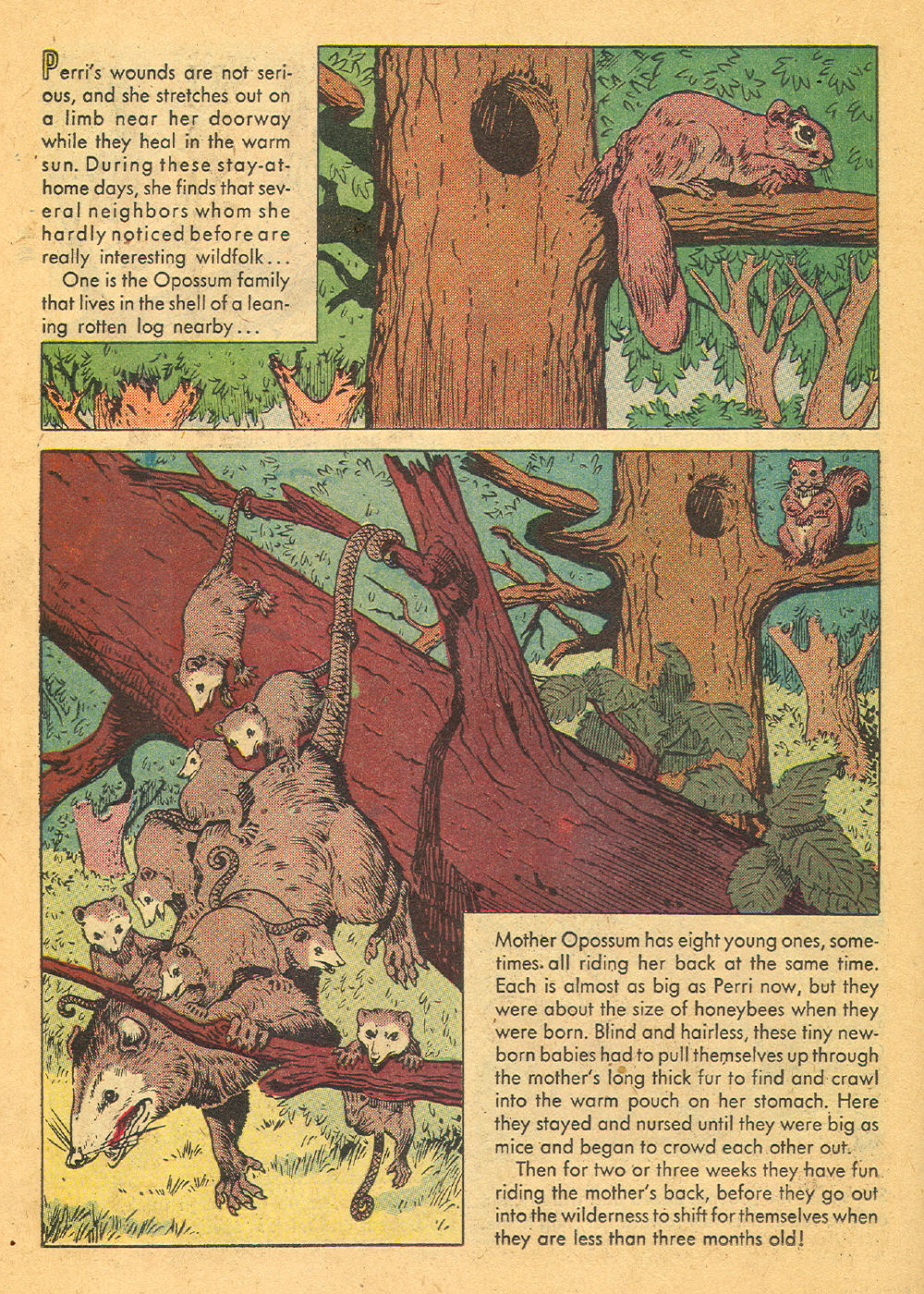 Read online Four Color Comics comic -  Issue #847 - 22