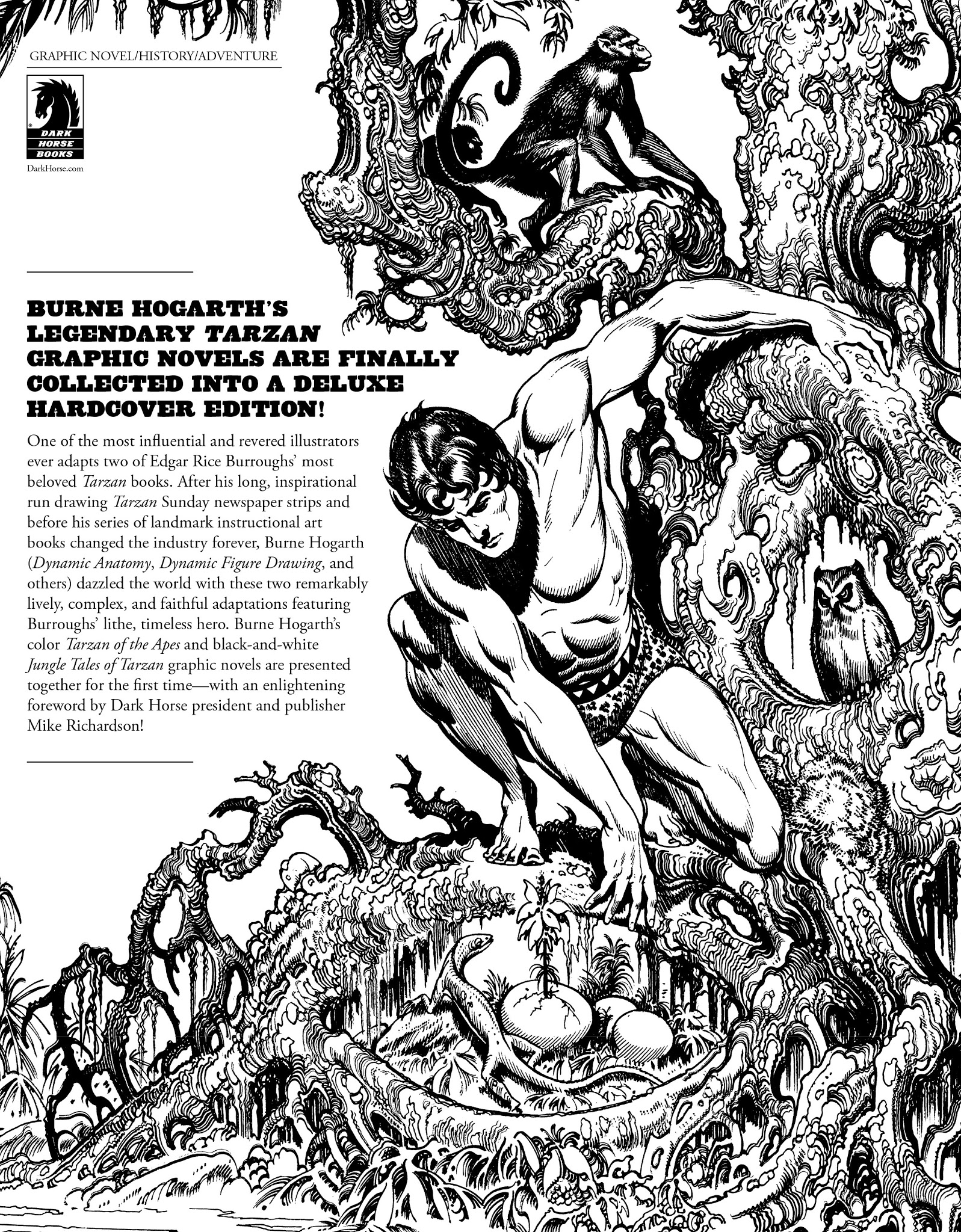 Read online Edgar Rice Burroughs' Tarzan: Burne Hogarth's Lord of the Jungle comic -  Issue # TPB - 263