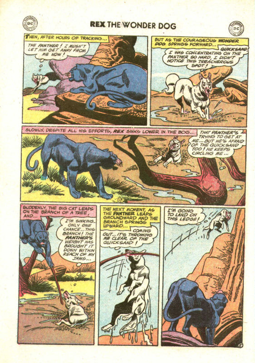 Read online The Adventures of Rex the Wonder Dog comic -  Issue #27 - 28