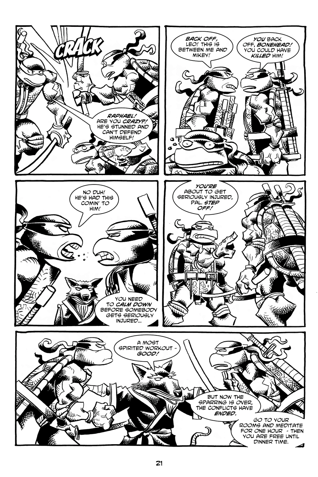Tales of the TMNT issue 55 - Page 25