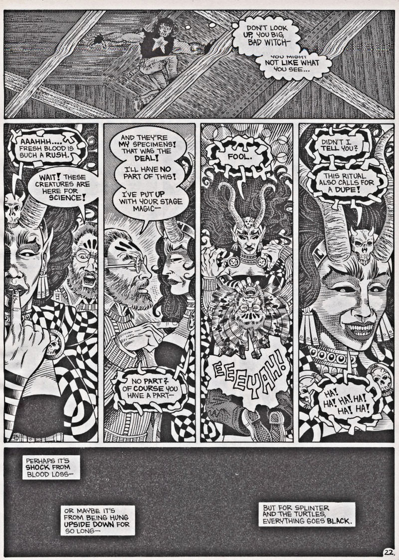 Teenage Mutant Ninja Turtles (1984) Issue #42 #42 - English 23