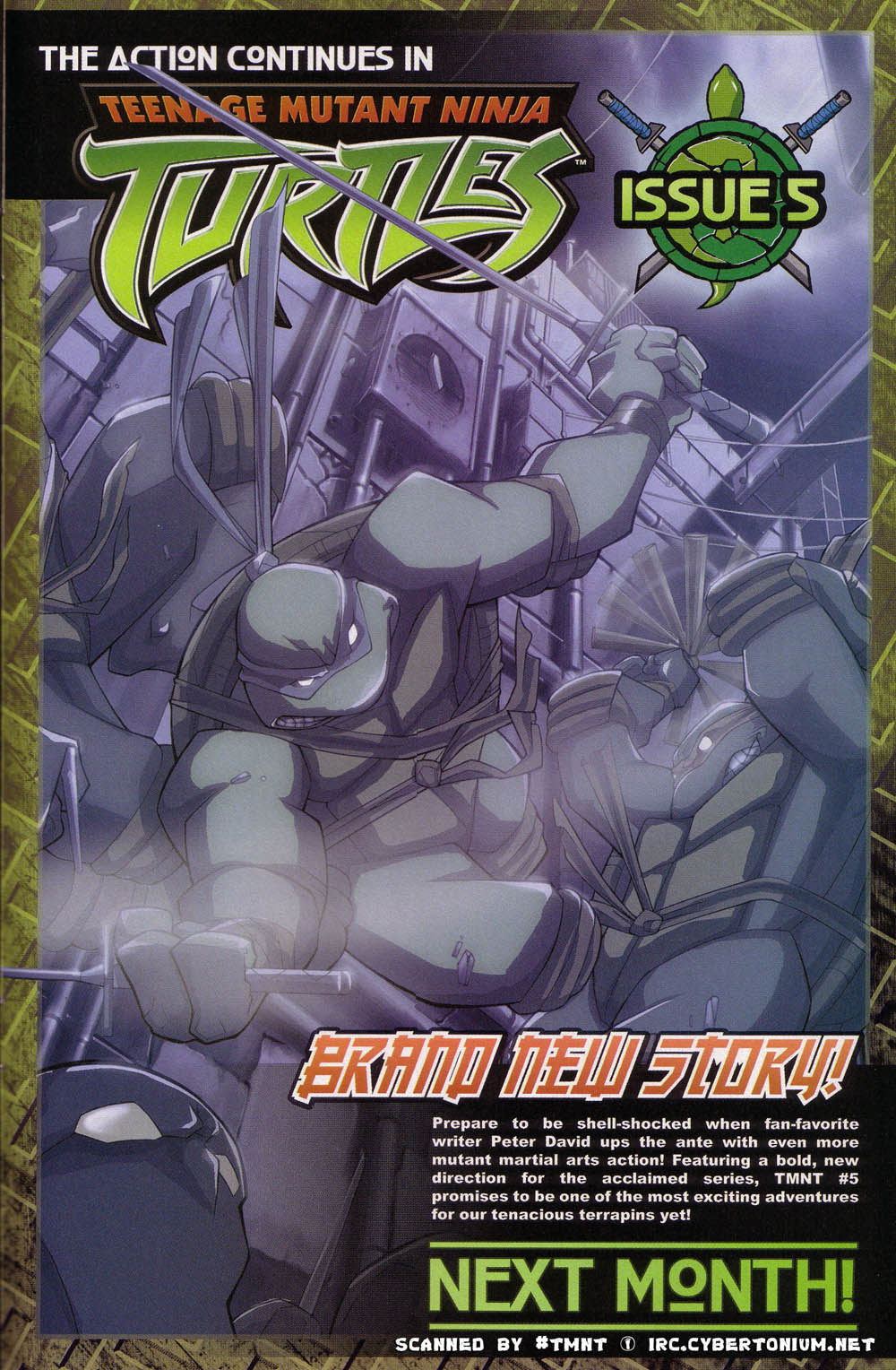 Teenage Mutant Ninja Turtles (2003) Issue #4 #4 - English 25